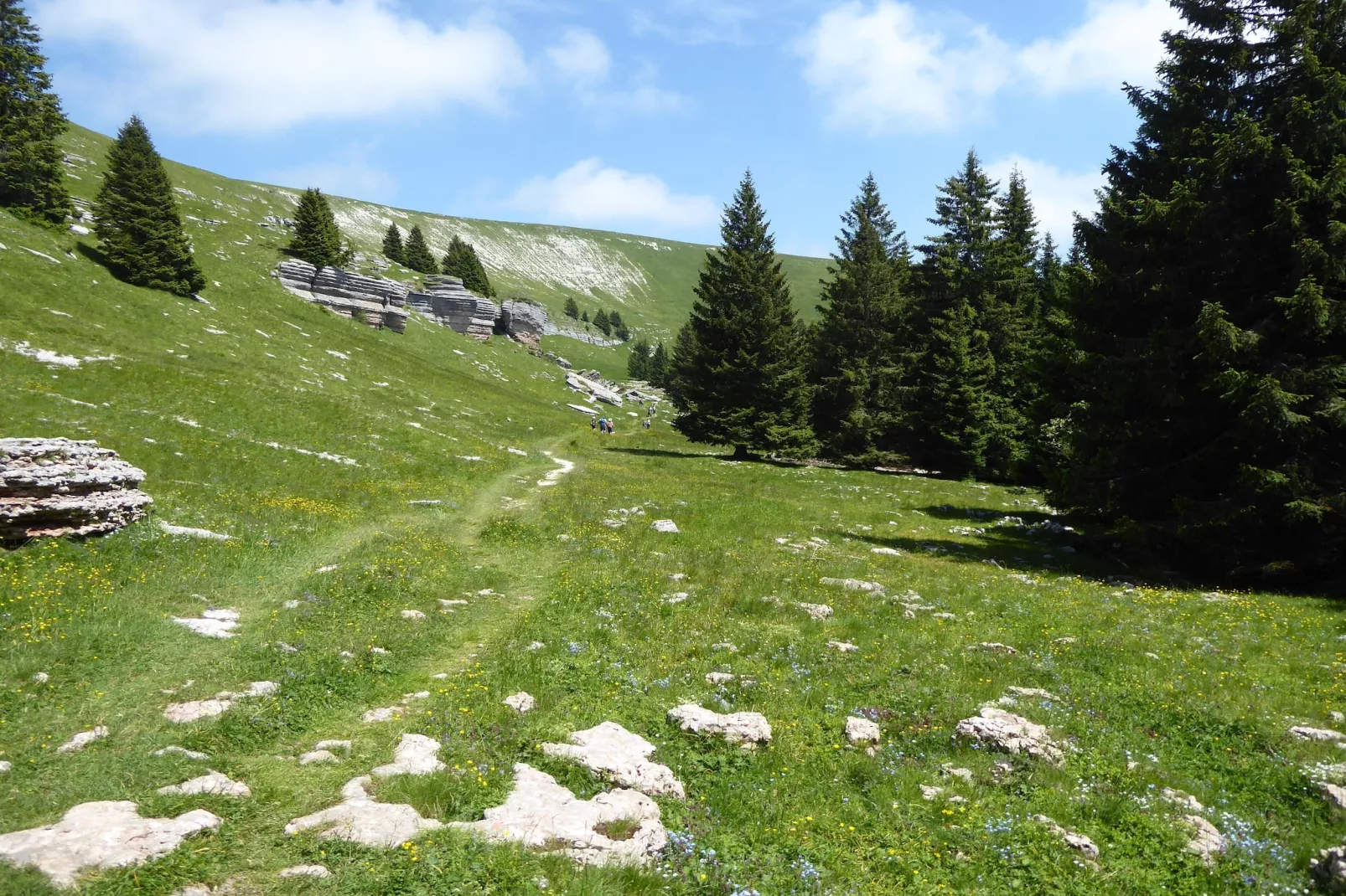 Ronzo Chienis-Gebiete Sommer 20 km