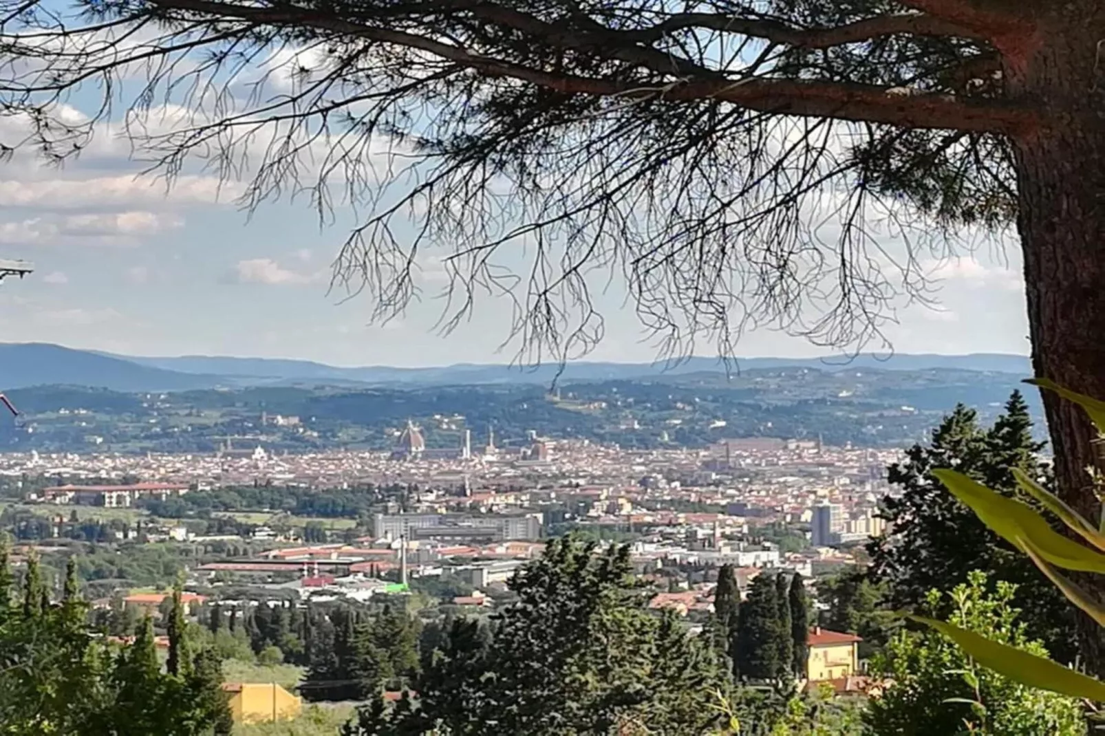 I Tini-Areas within 20km in summer