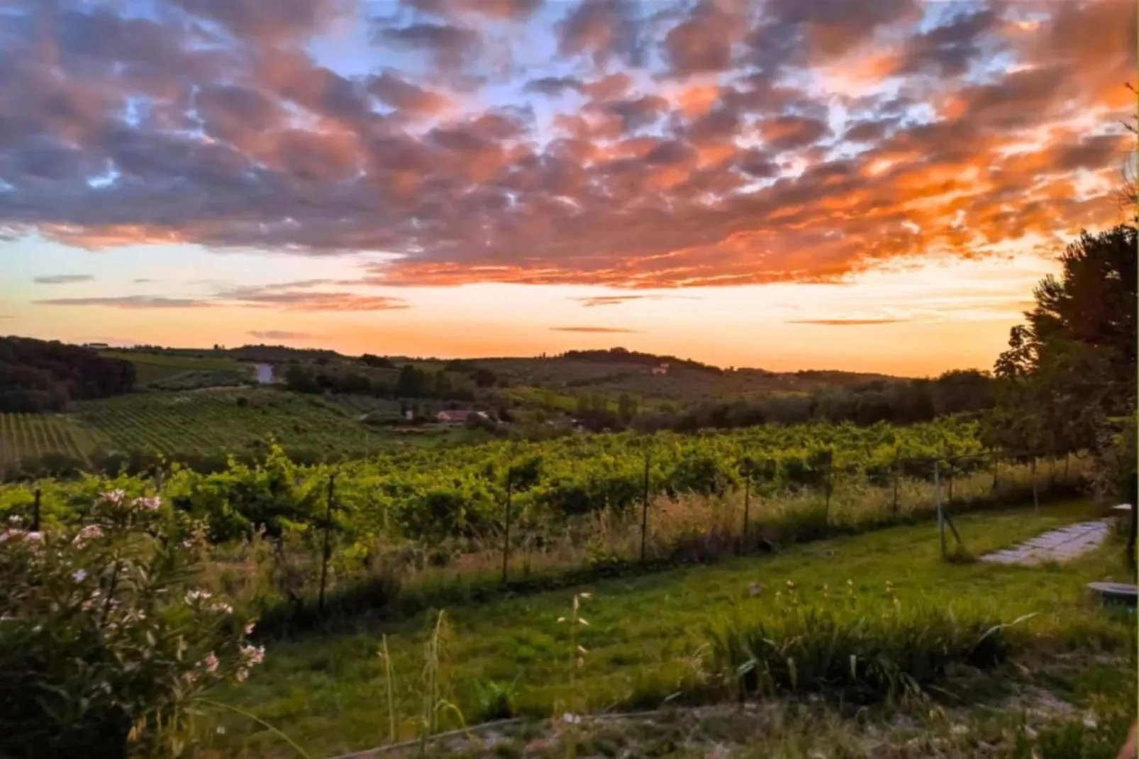 Chianti Village Morrocco M2-Areas within 5km in summer
