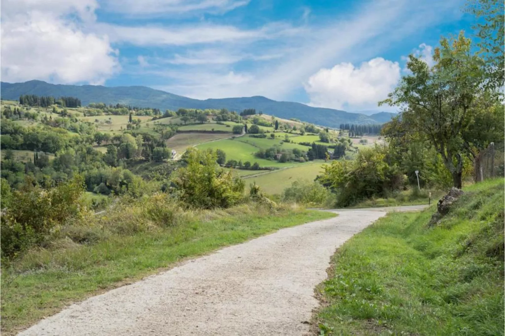 Il Ciliegio-Areas within 20km in summer