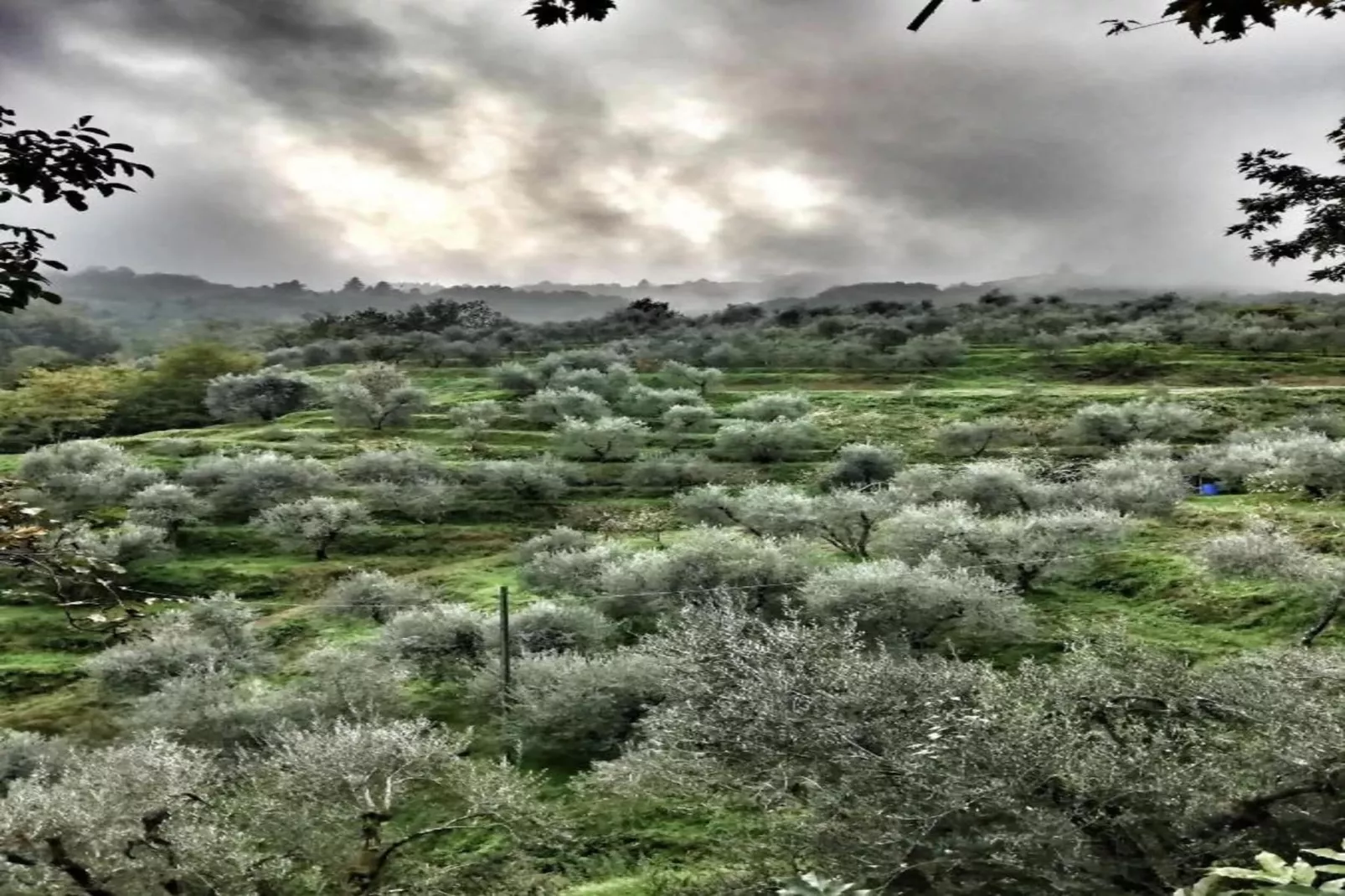 Casa dei Sogni-Gebiete Sommer 20 km