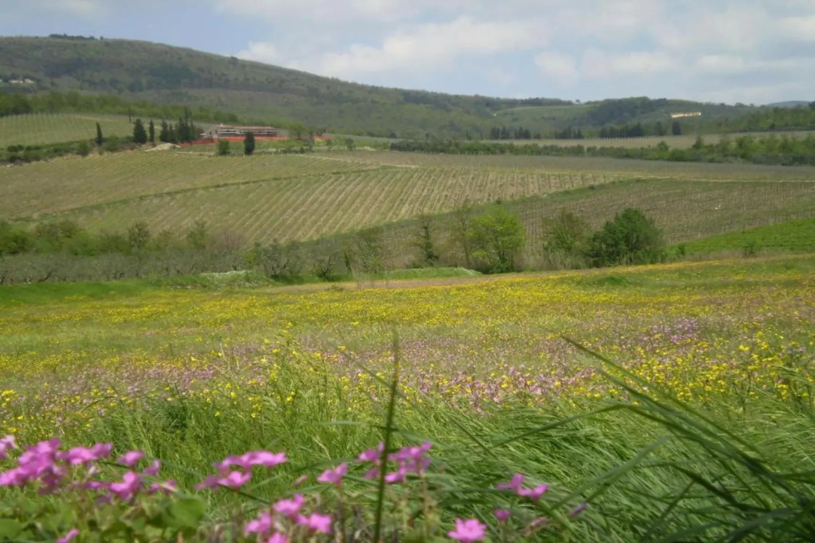 Saliceto Bilocale-Areas within 5km in summer