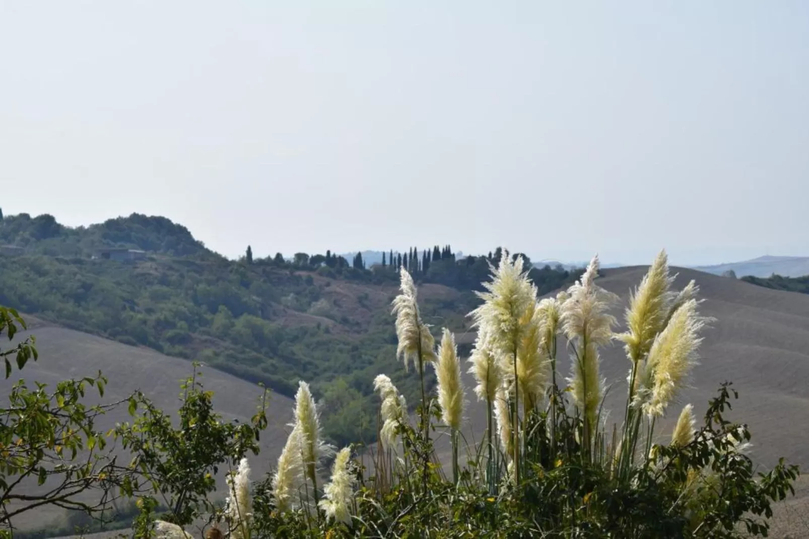 Stalla Rossa-Areas within 5km in summer