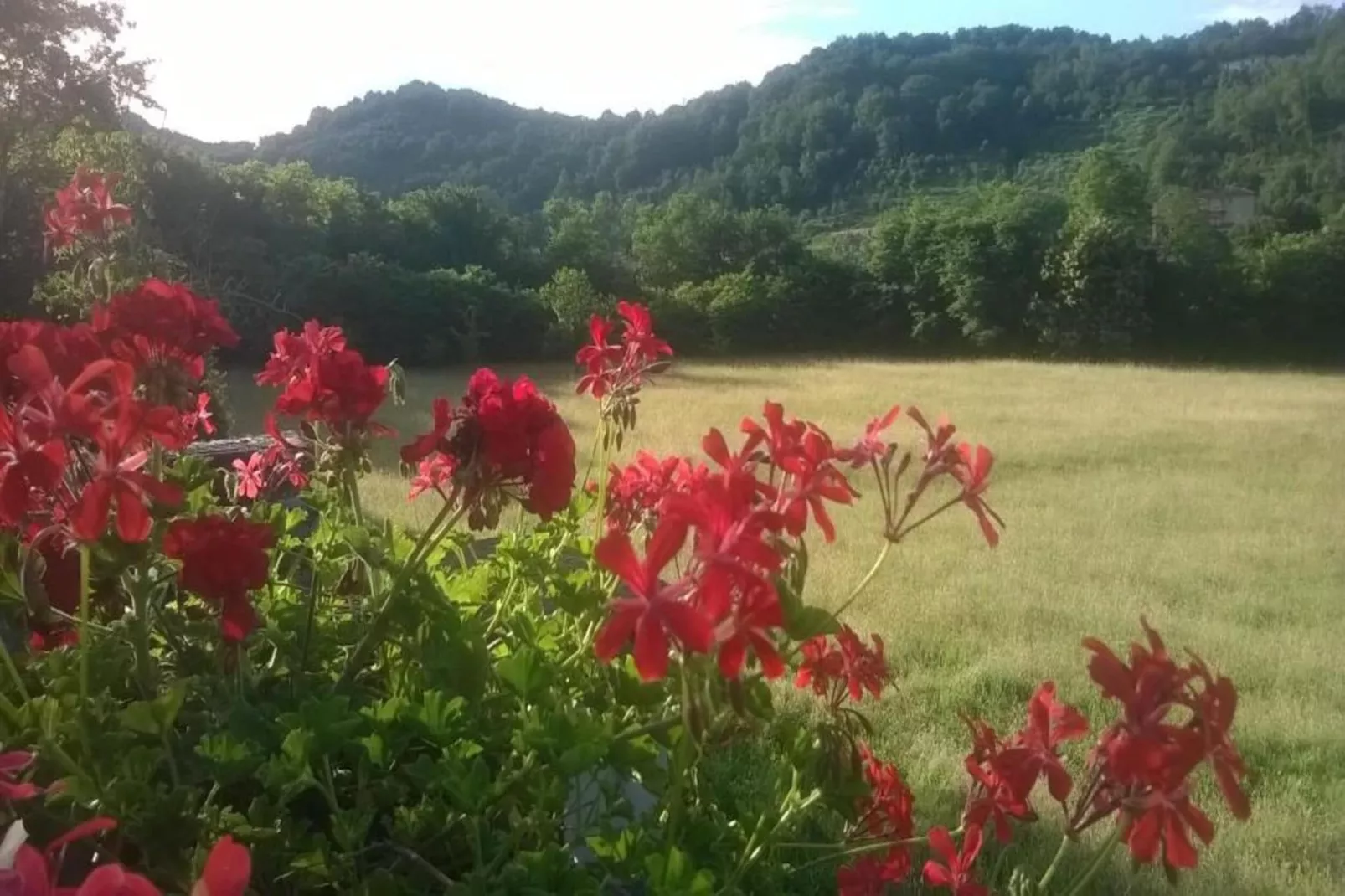 Argilla 6-Gebiete Sommer 20 km