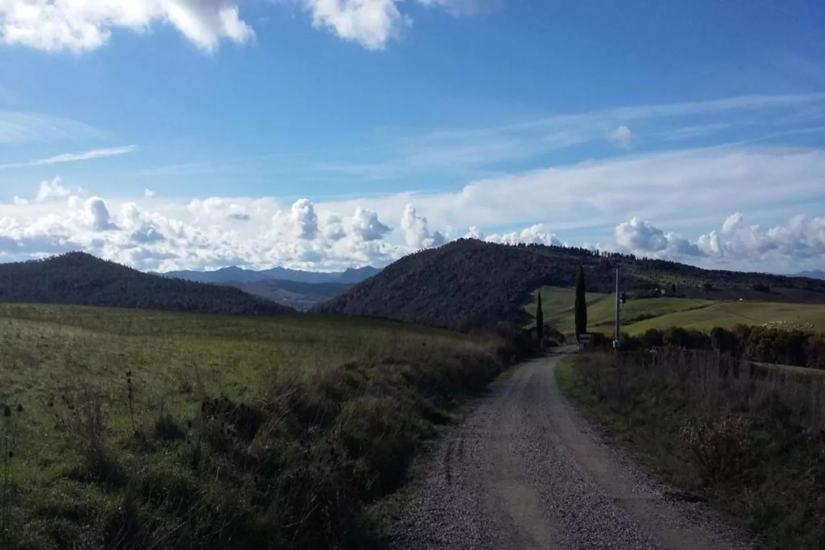 Allodola-Areas within 20km in summer