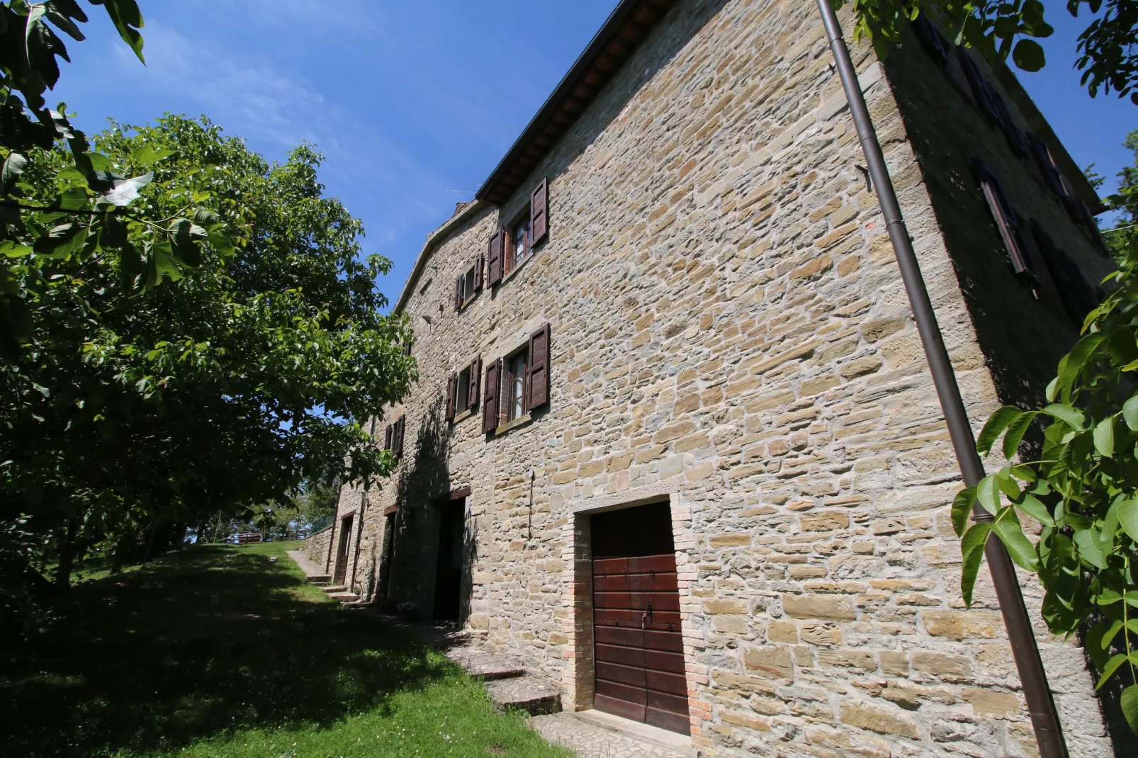 Cucciolo-Exterior in summer