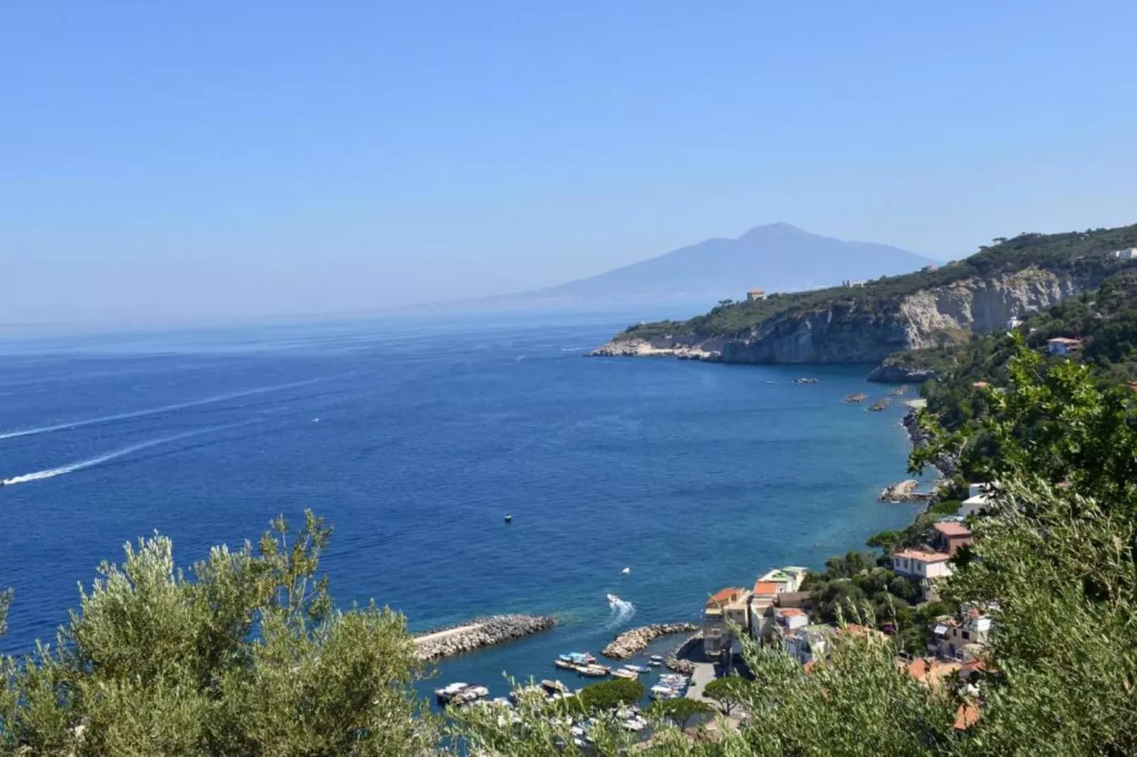 Edera-Areas within 5km in summer