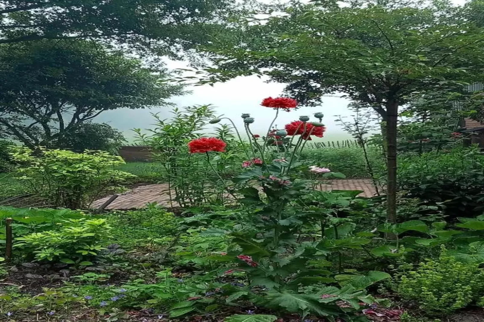 Tuinpad-Areas within 20km in summer
