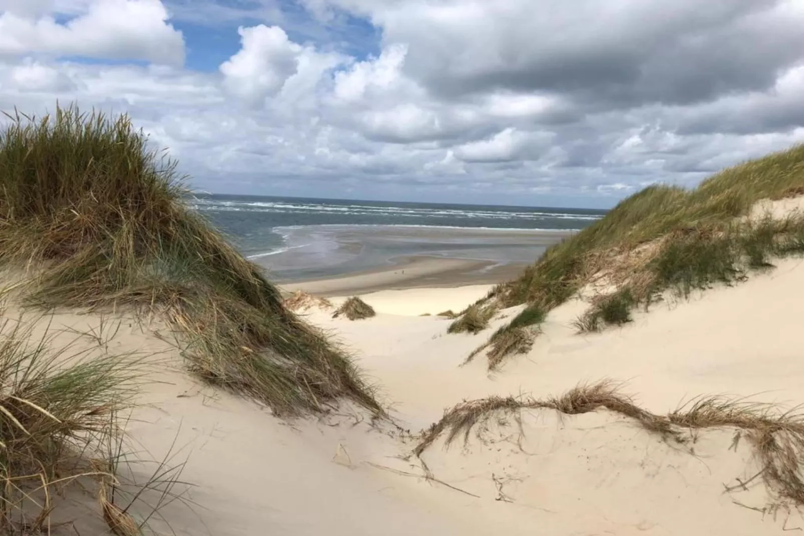 Duindroom op Terschelling-Areas within 20km in summer