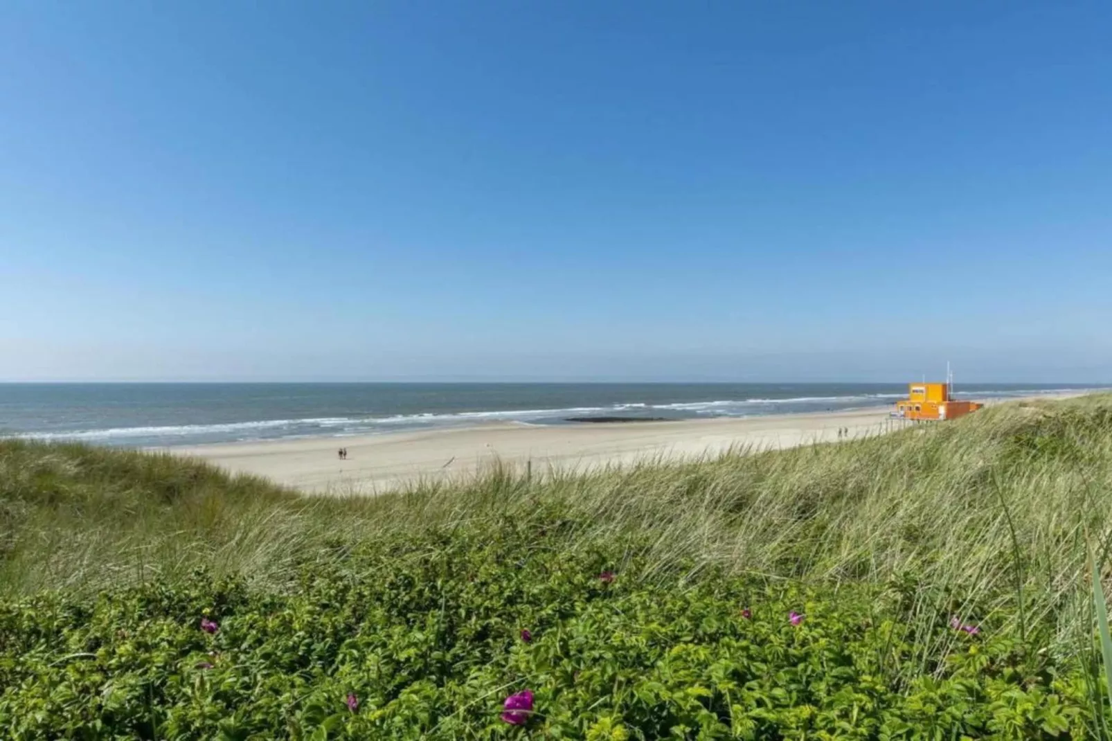 Zilte Bries-Areas within 20km in summer