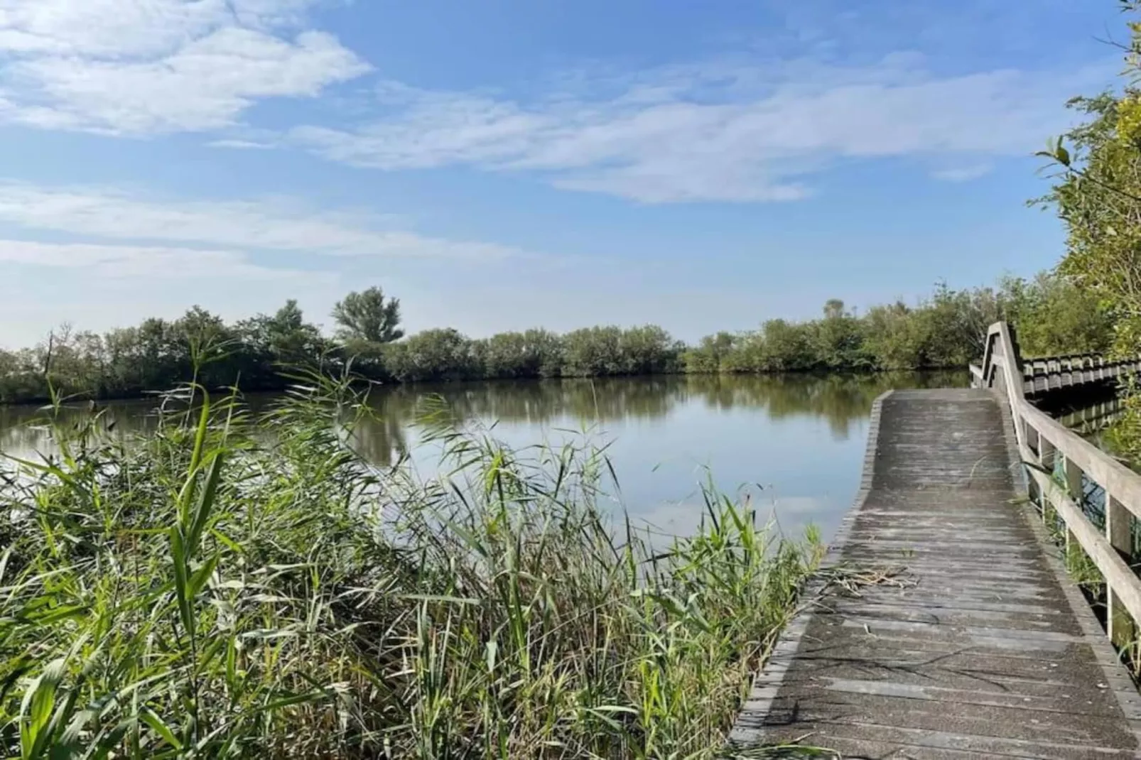 Vakantiehuis De Weide Blick-Gebiete Sommer 5 km