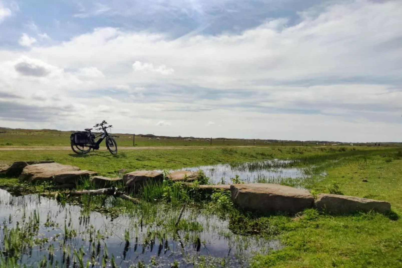 Vakantiepark de Krim 9-Areas within 20km in summer