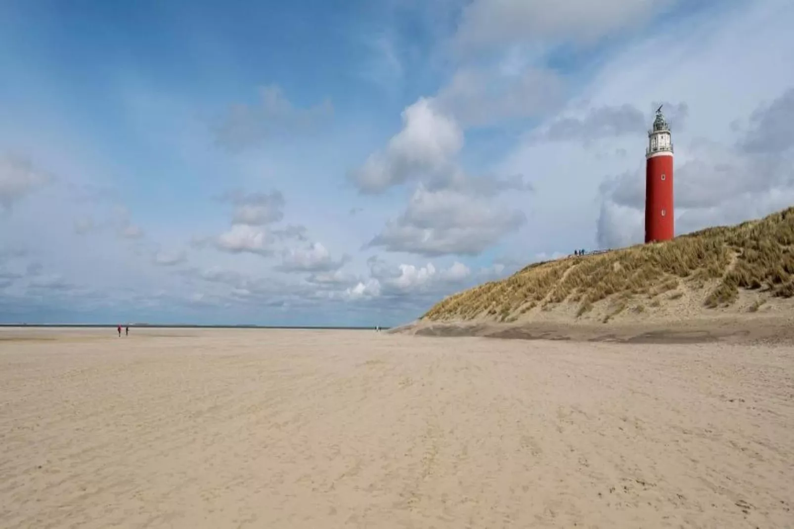 Kustpark Texel 5-Areas within 20km in summer
