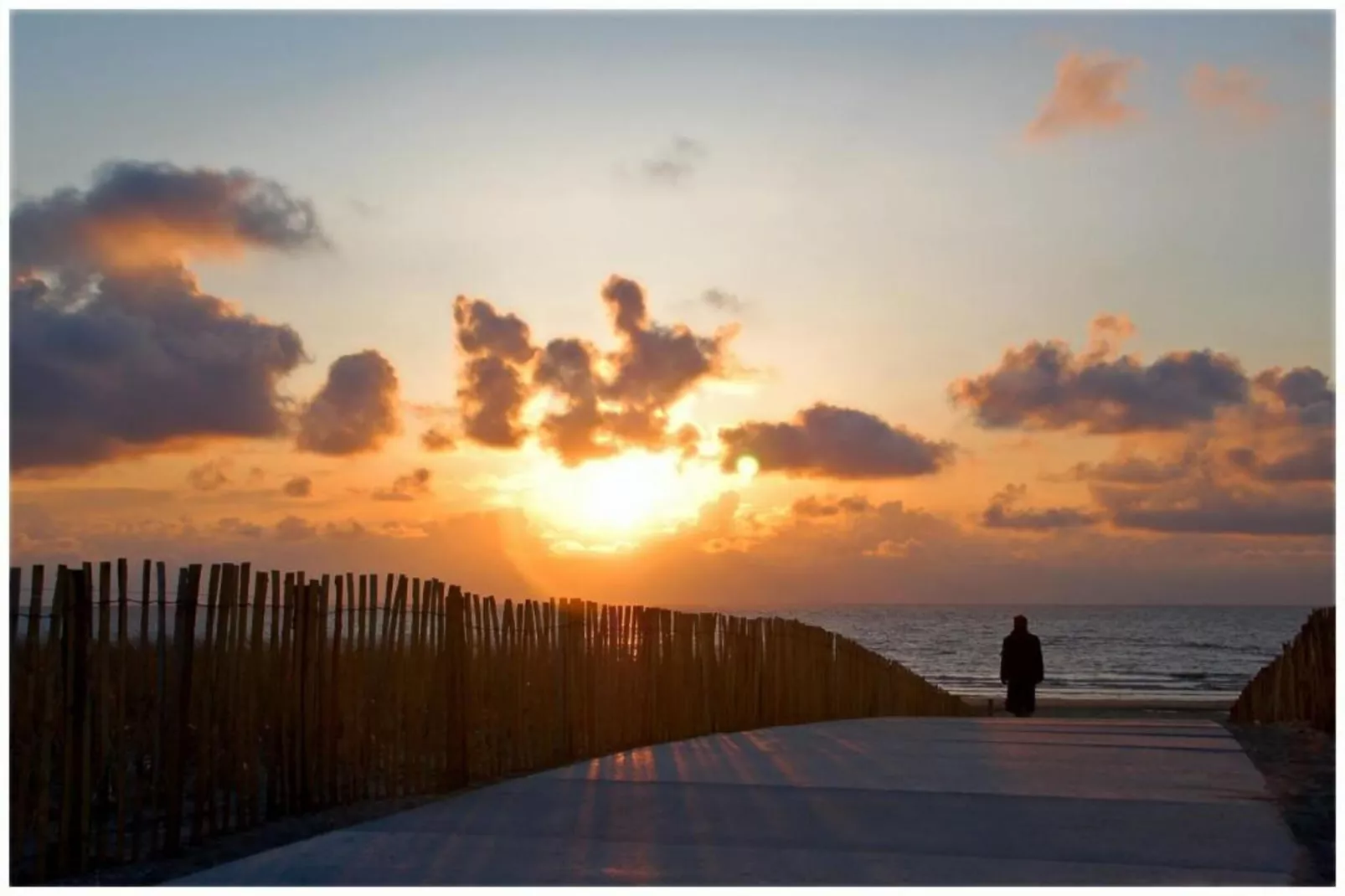 Walhalla aan Zee-Areas within 20km in summer