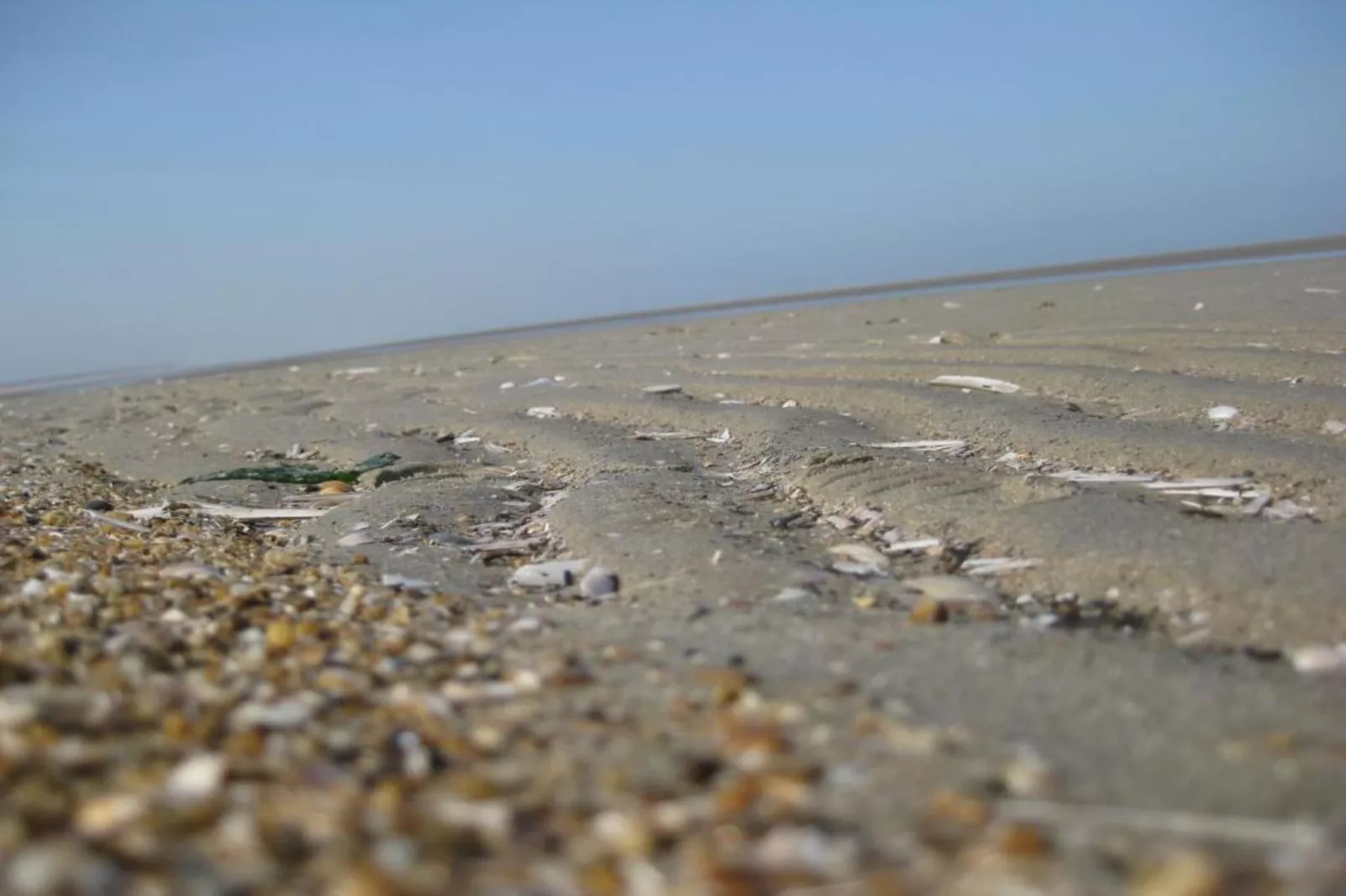 Strandpark Duynhille 4-Areas within 1km in summer