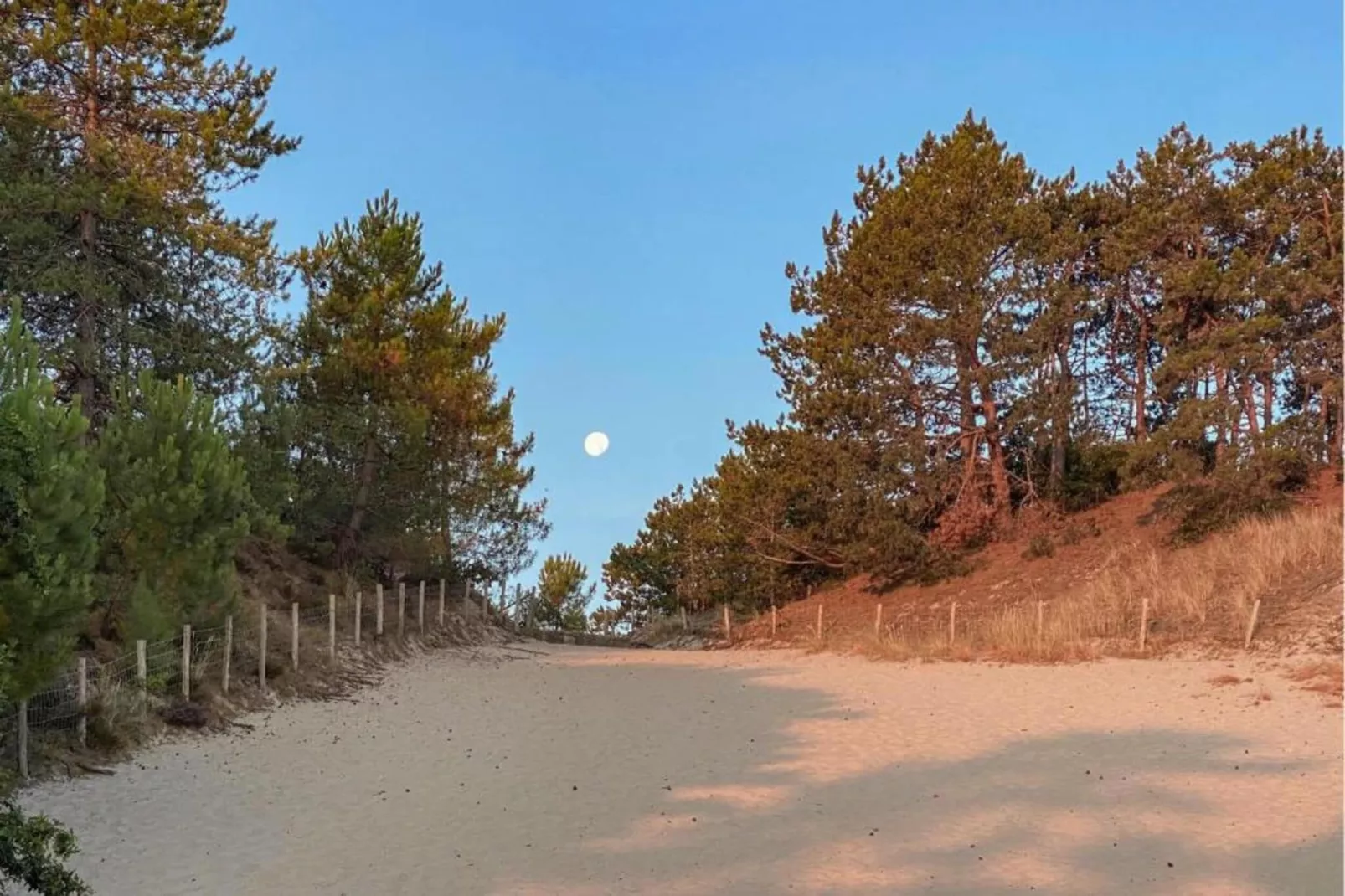 De Strandvogel-Areas within 20km in summer