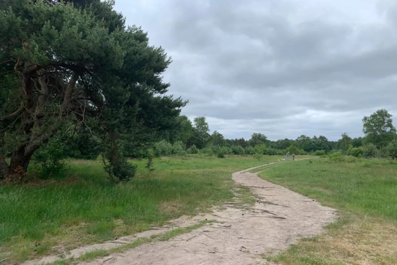 De Veluwse Hoevegaerde 1-Areas within 5km in summer