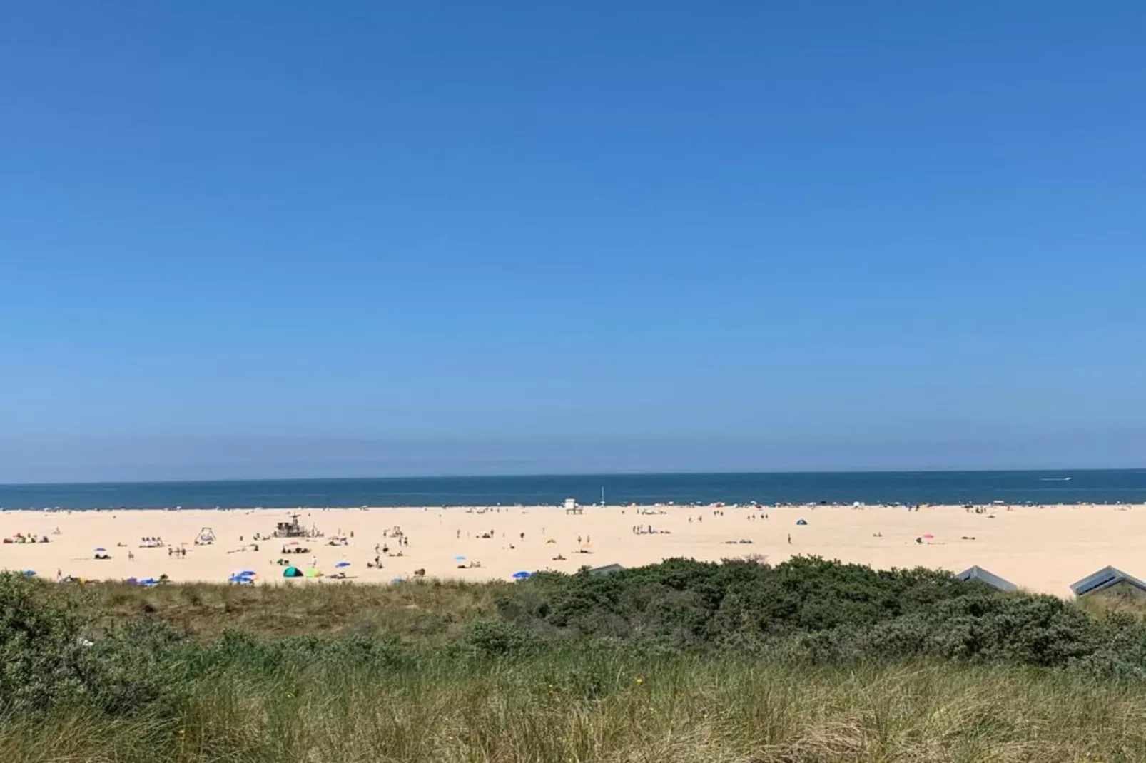 Lepelstraat 18A  Vrouwenpolder "'t Blauwtje"-Areas summer 20km