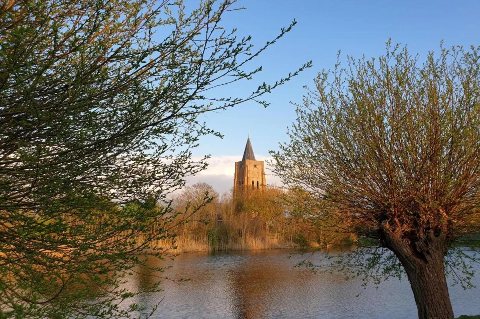 De Zeeuwse Schuur - comfort 3 personen huisdier-Gebiete Sommer 20 km