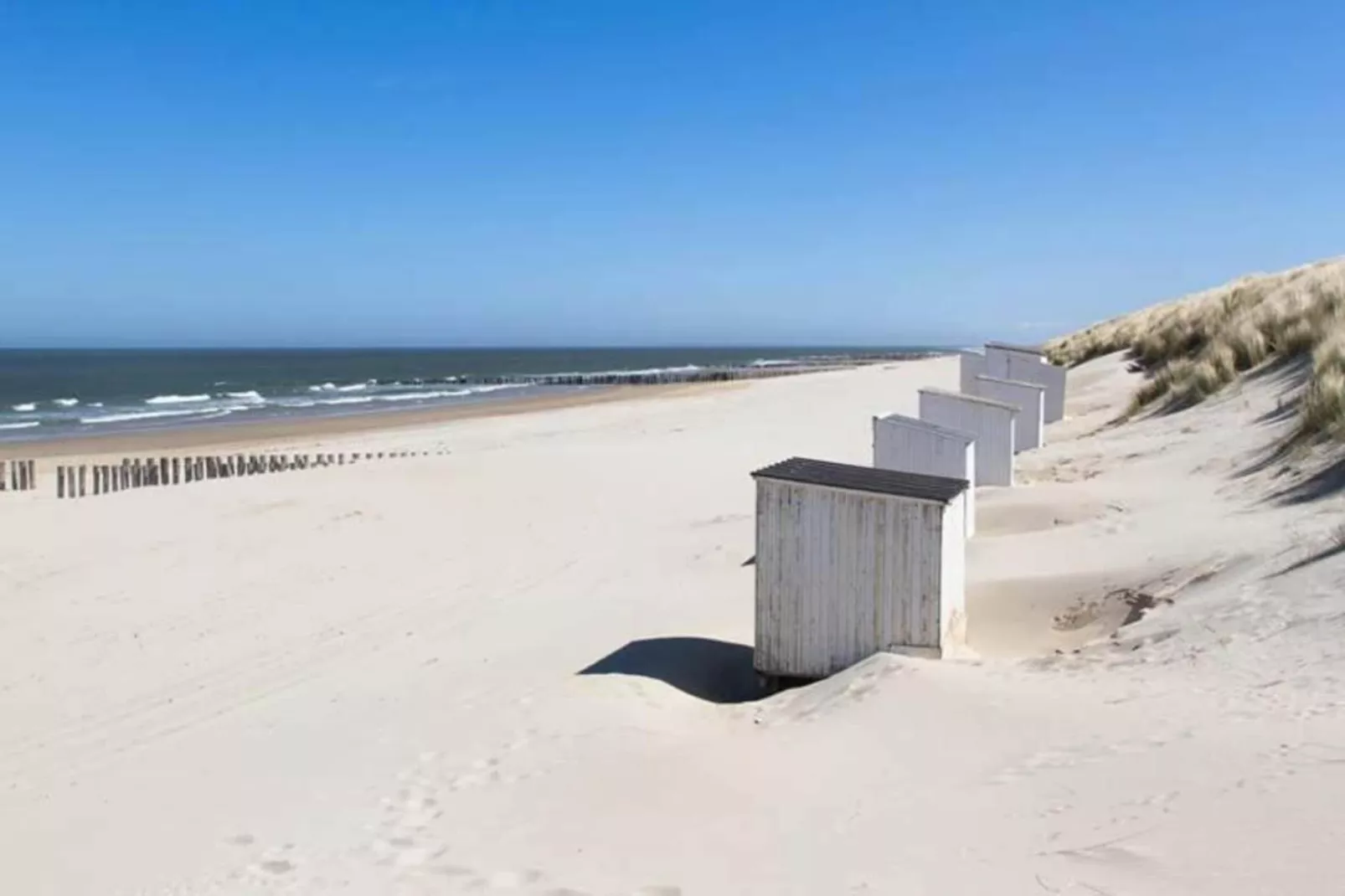 Vakantiepark Hof Domburg 26 - Areas within 20km in summer