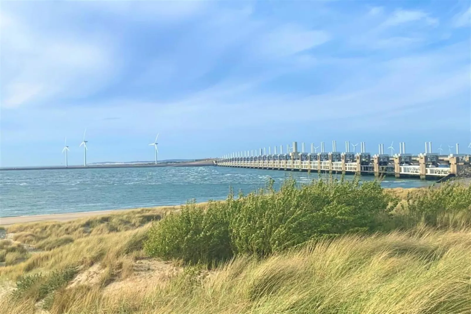 Noordzee Résidence De Banjaard 21 - Areas within 20km in summer