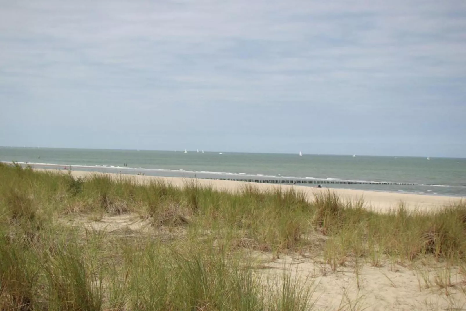 Groot Hof ter Zand-Areas within 20km in summer