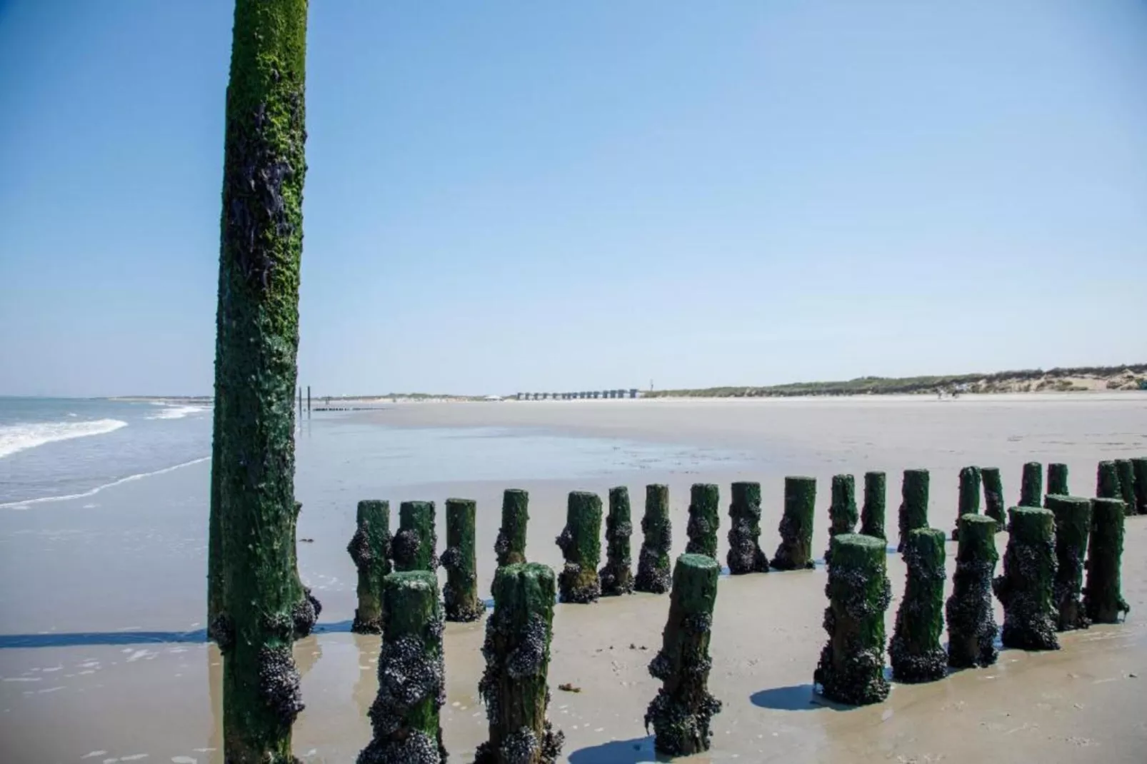 Beach Resort Nieuwvliet-Bad 15-Areas within 20km in summer