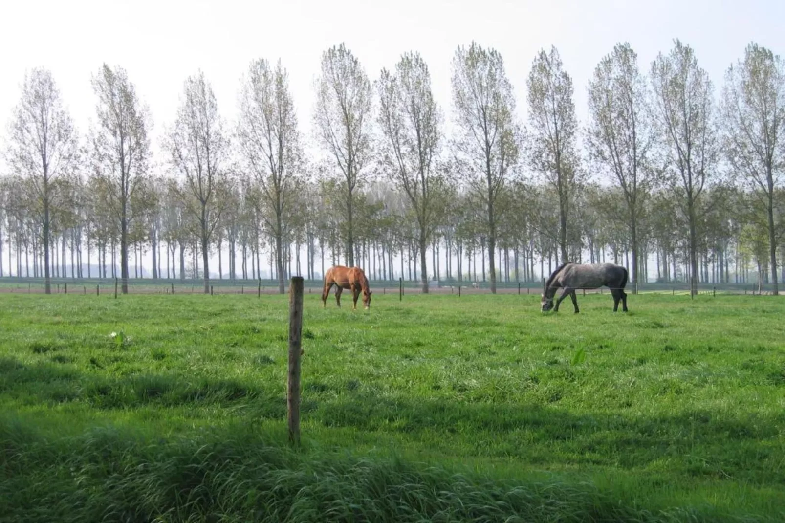 Appartement De Hooizolder-Areas within 20km in summer