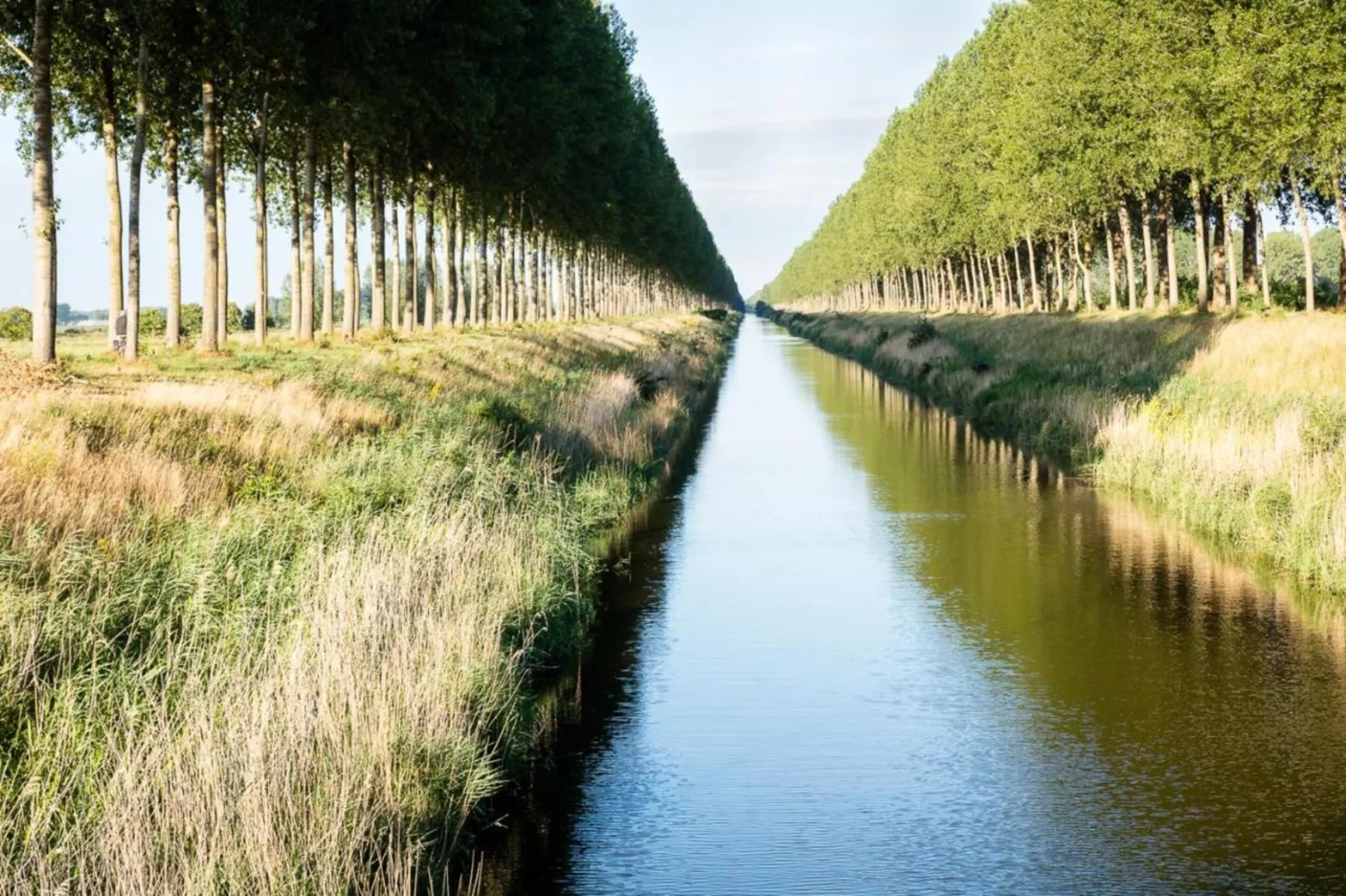 De Biezenpolder 't Groothuus-Areas within 20km in summer