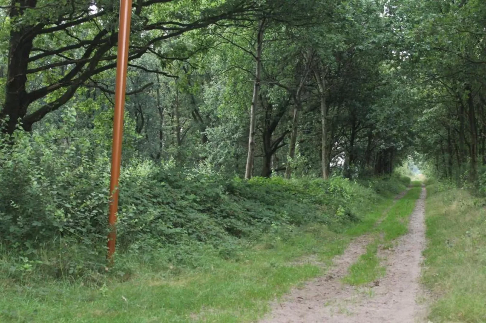 Vakantiepark de Katjeskelder 19-Areas within 5km in summer