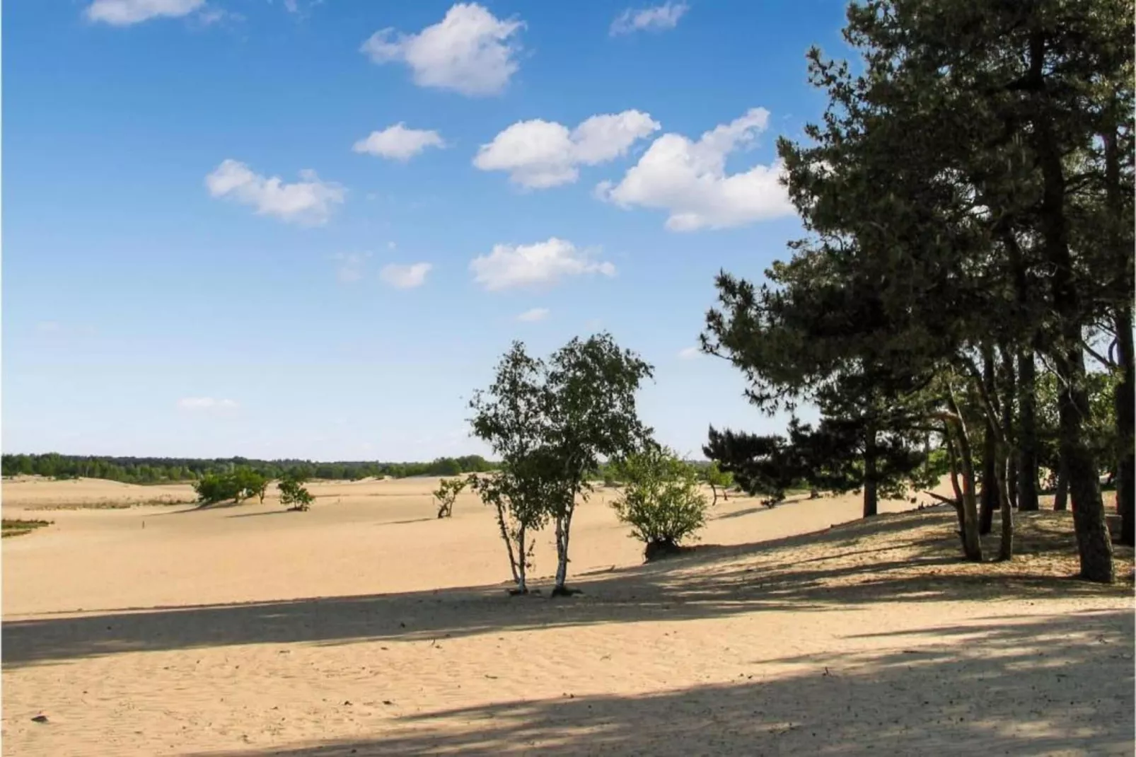 Recreatiepark Duinhoeve 12-Gebiete Sommer 20 km