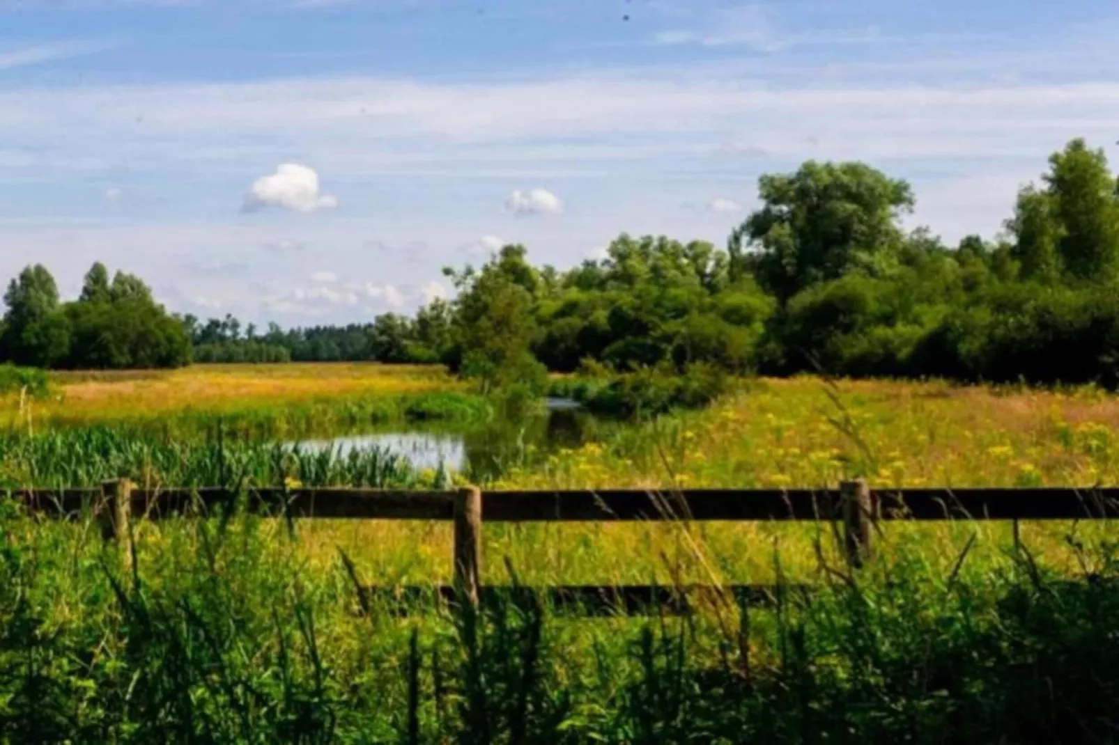 Vakantiepark Schaijk 5-Areas within 5km in summer