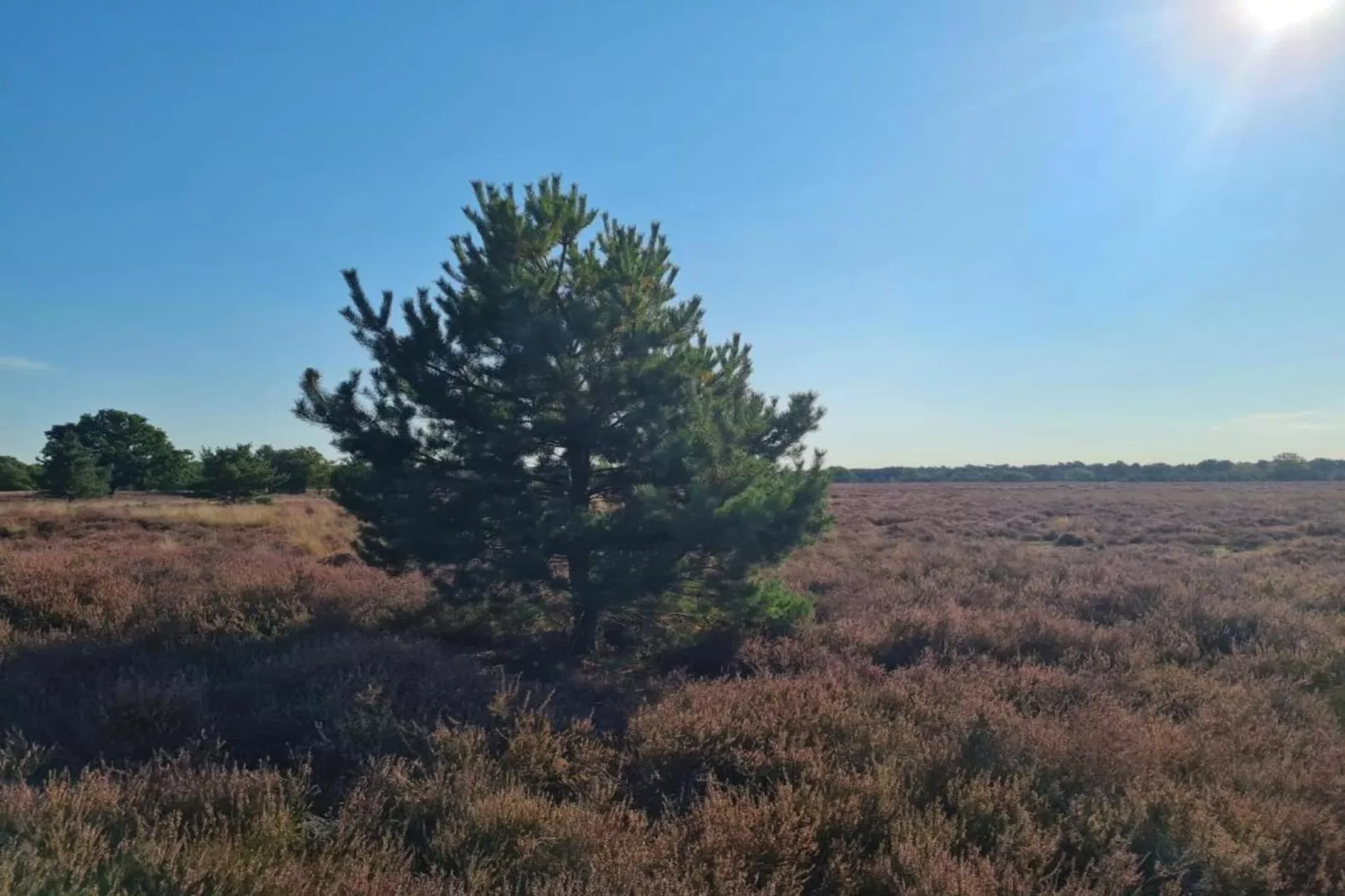 Paradiso-Areas within 20km in summer