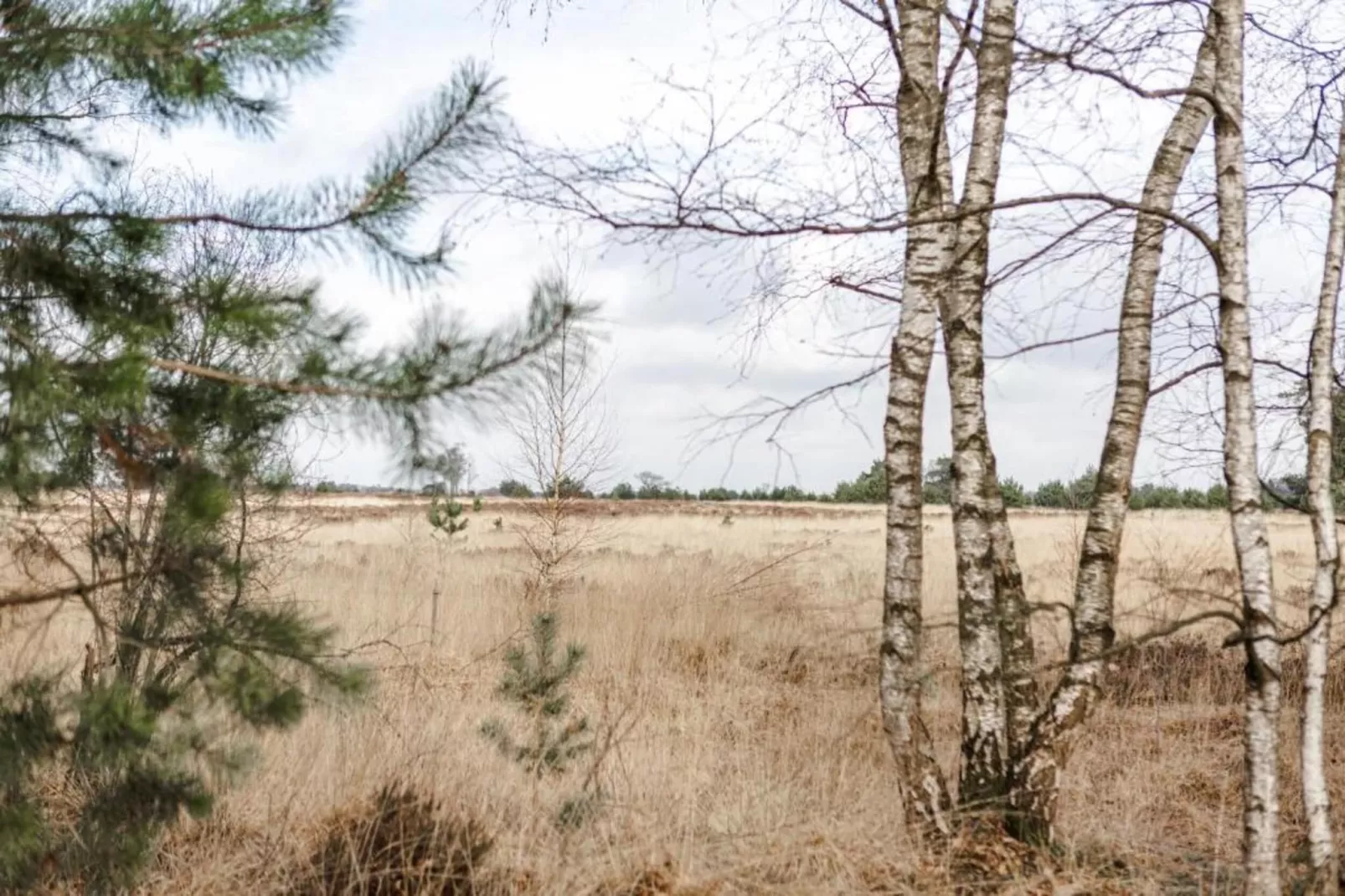 Bospark 't Wolfsven 7-Areas within 5km in summer