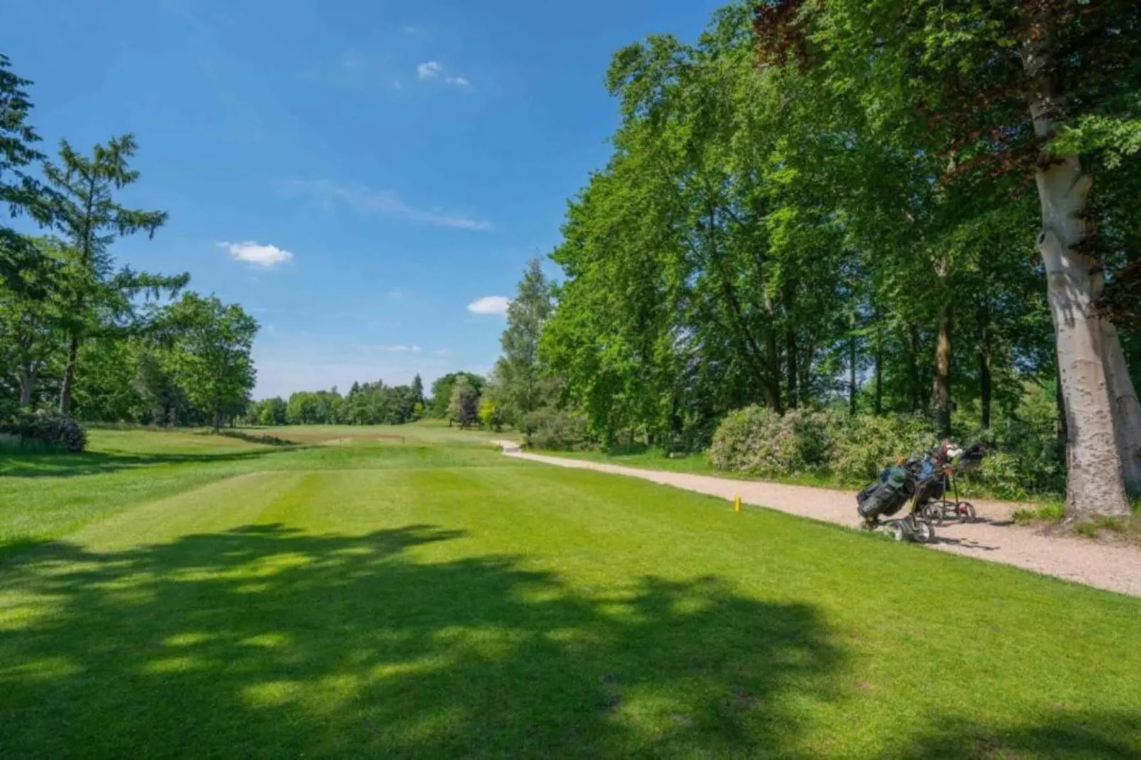 Vakantiepark Weerterbergen 8-Gebiete Sommer 20 km