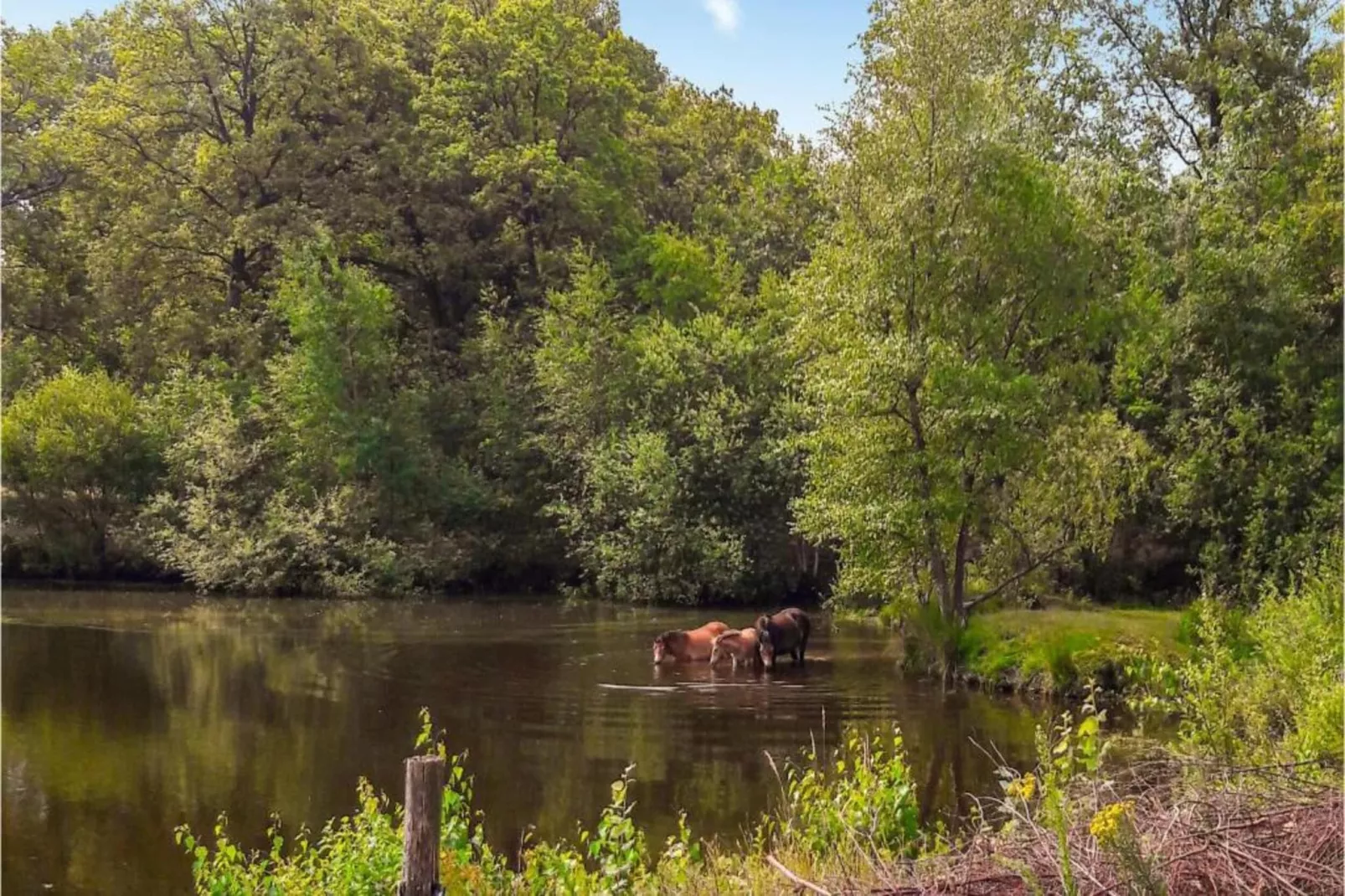 Vakantiepark Weerterbergen 10-Zones été à 20 km