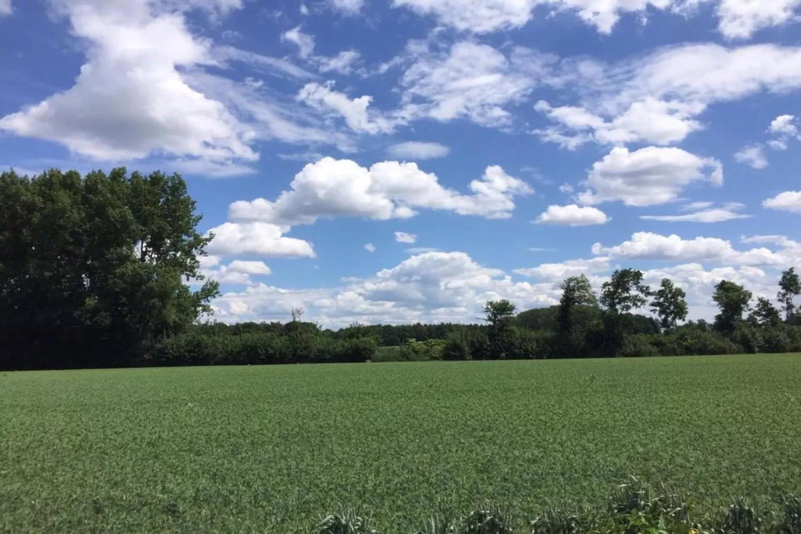 Buitenhof De Leistert 18-Areas within 20km in summer
