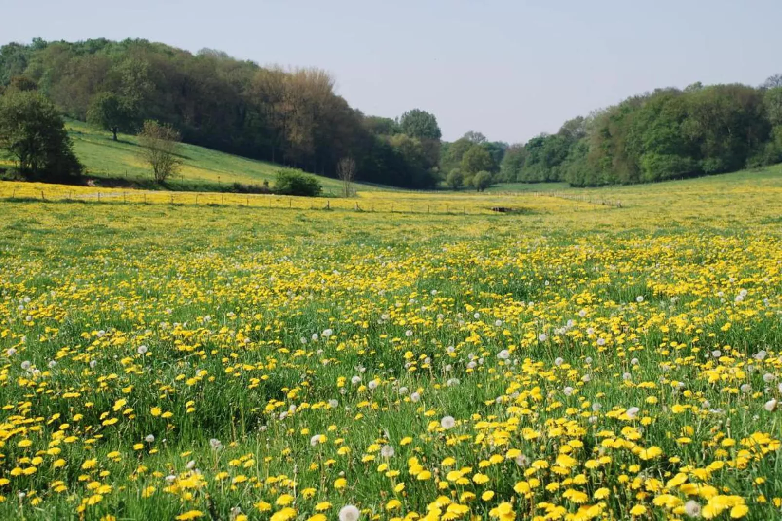 Resort Gulpen 10-Areas within 20km in summer