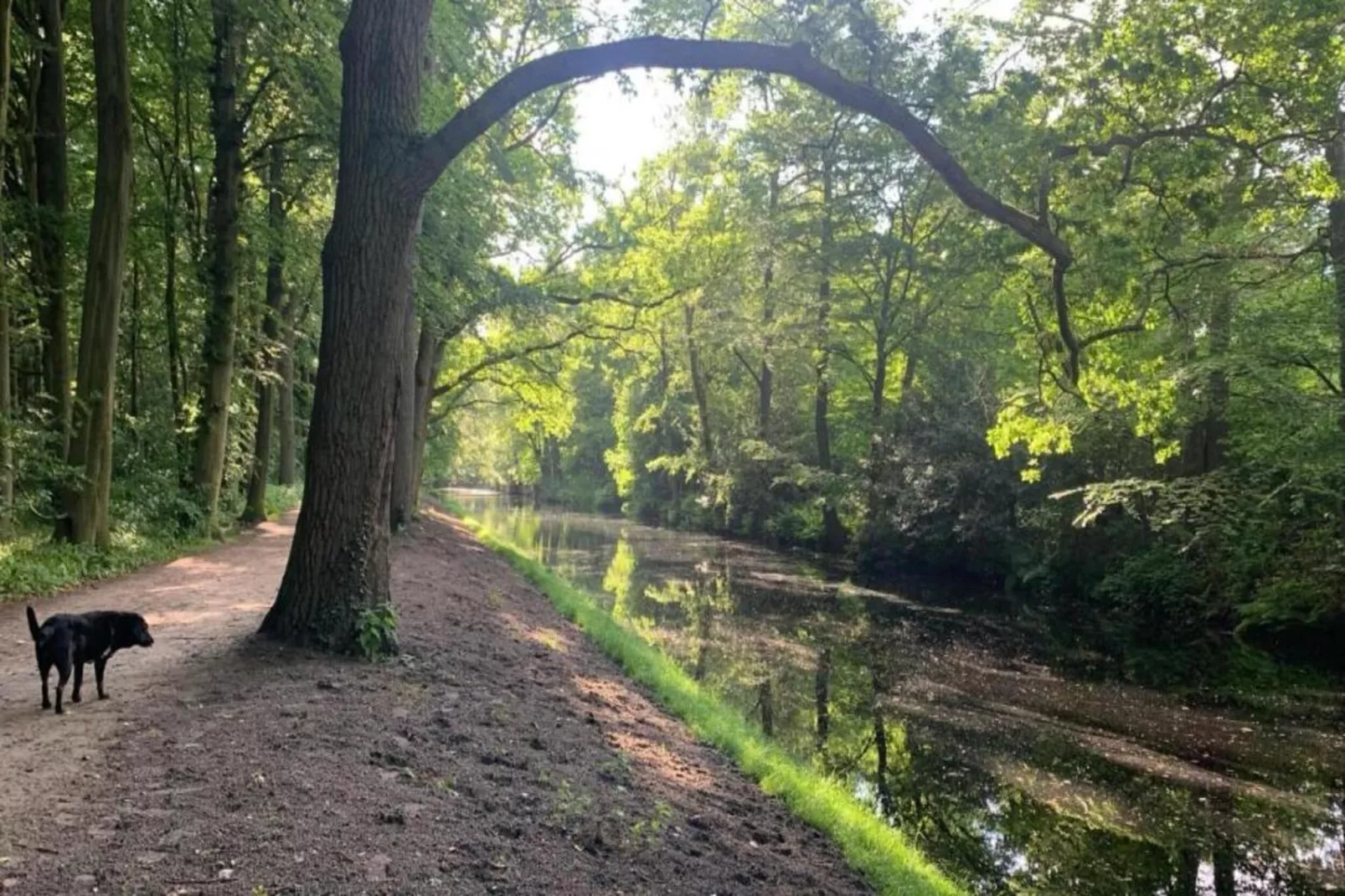 Hof van Craeck I-Areas within 20km in summer