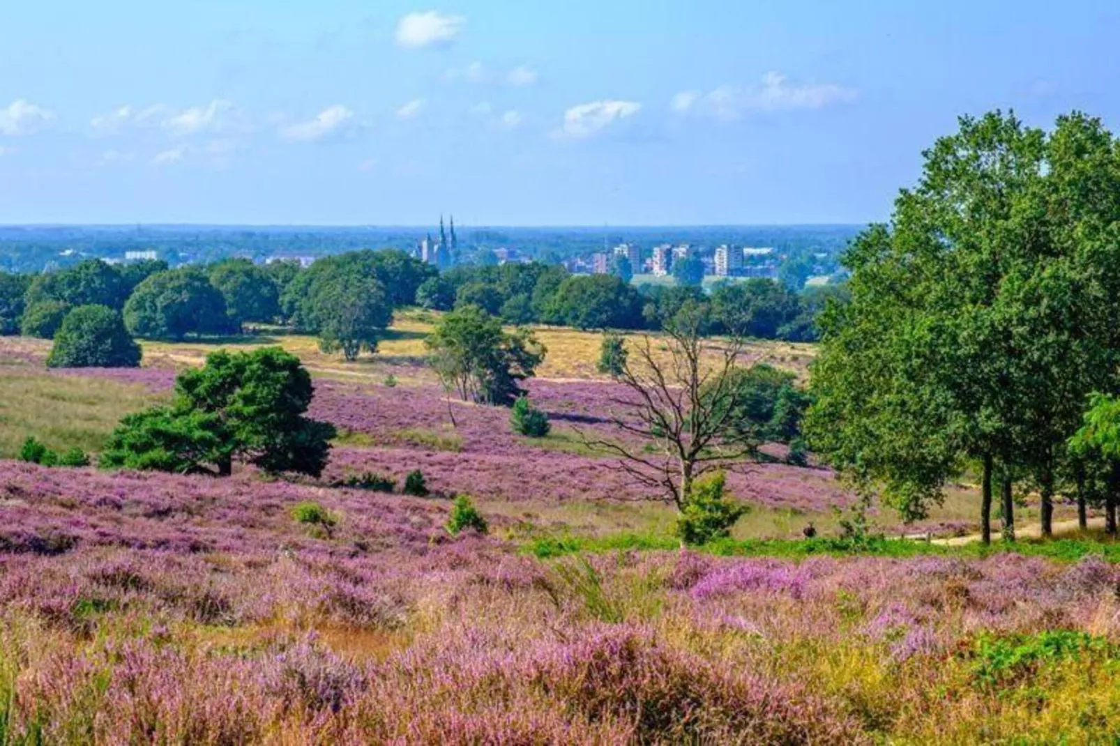 Vakantie bij Meeussen - Schuttersoord 3-Areas within 20km in summer