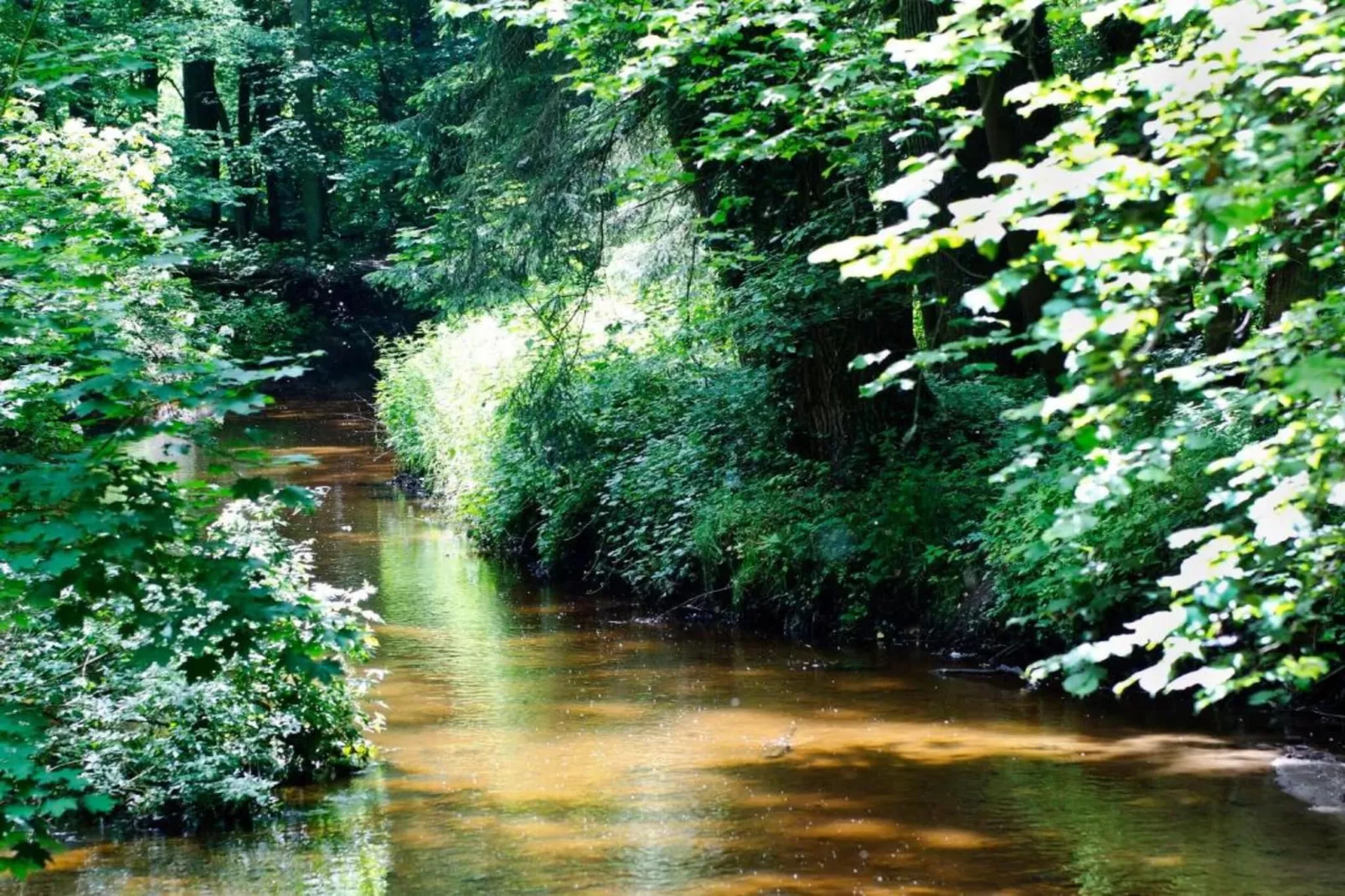 Huus in 't Hagt-Areas within 20km in summer