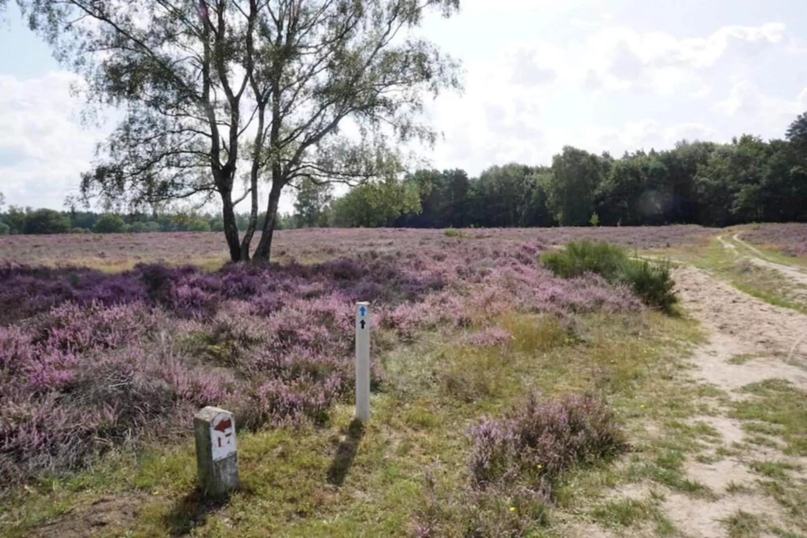 Hof van Salland 1-Areas within 5km in summer