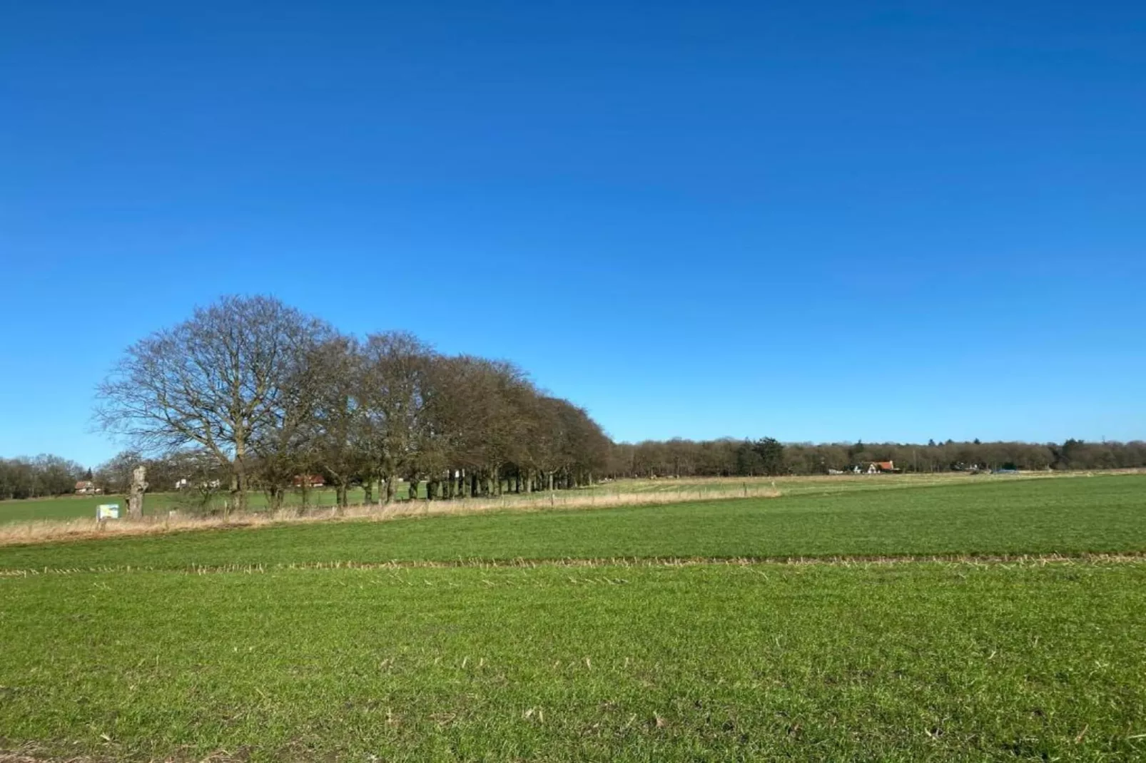 Buitenplaats Holten 8-Areas within 5km in summer