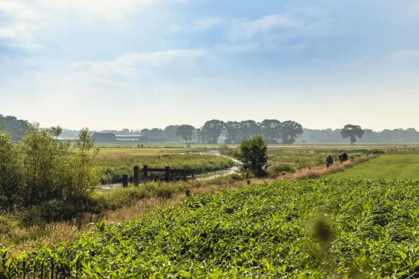 Vakantiepark Mölke 30-Areas within 20km in summer