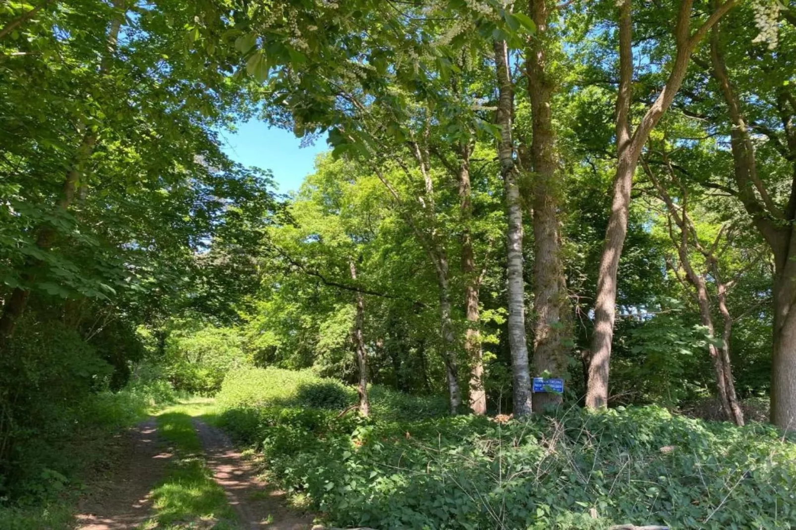 De ouwe diepvries-Areas within 20km in summer