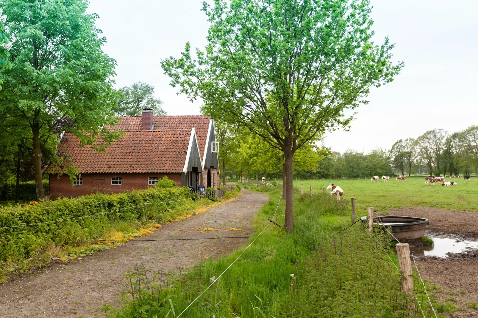 Kotman's spieker 12 persoons-Garten Sommer