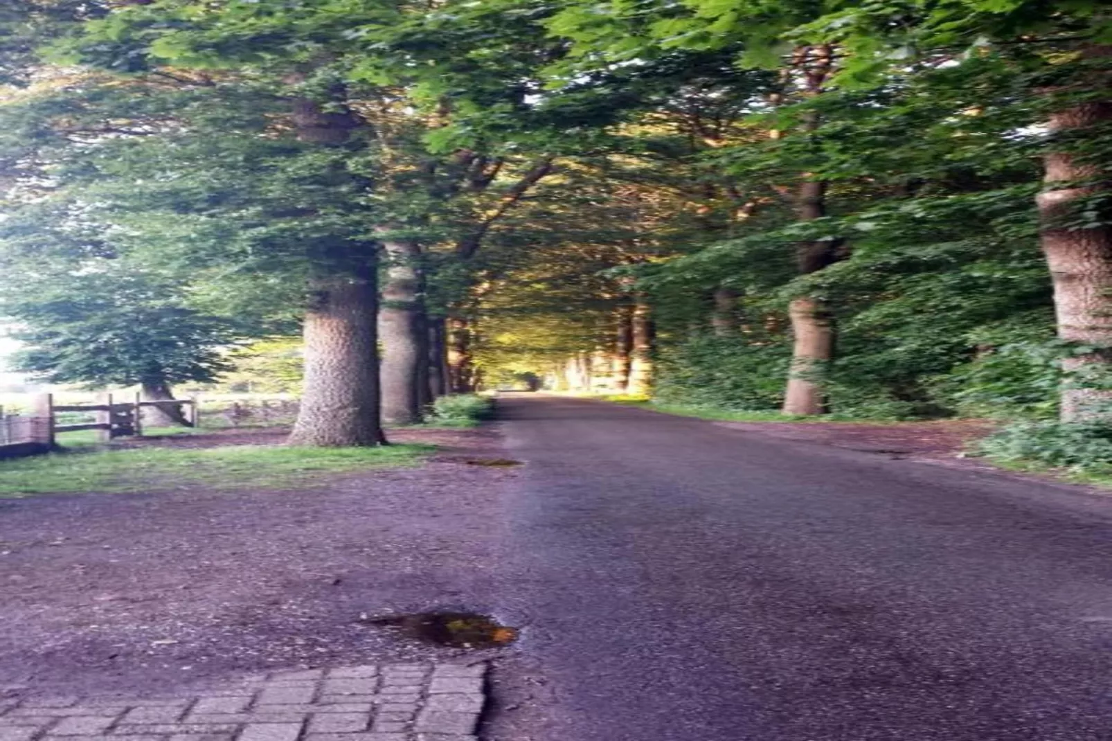 Residence De Eese 2-Areas within 20km in summer
