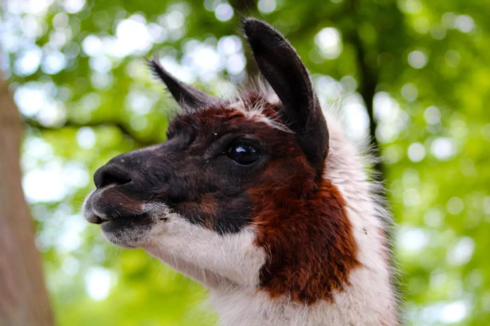 Residence de Eese 15-Zones été à 20 km