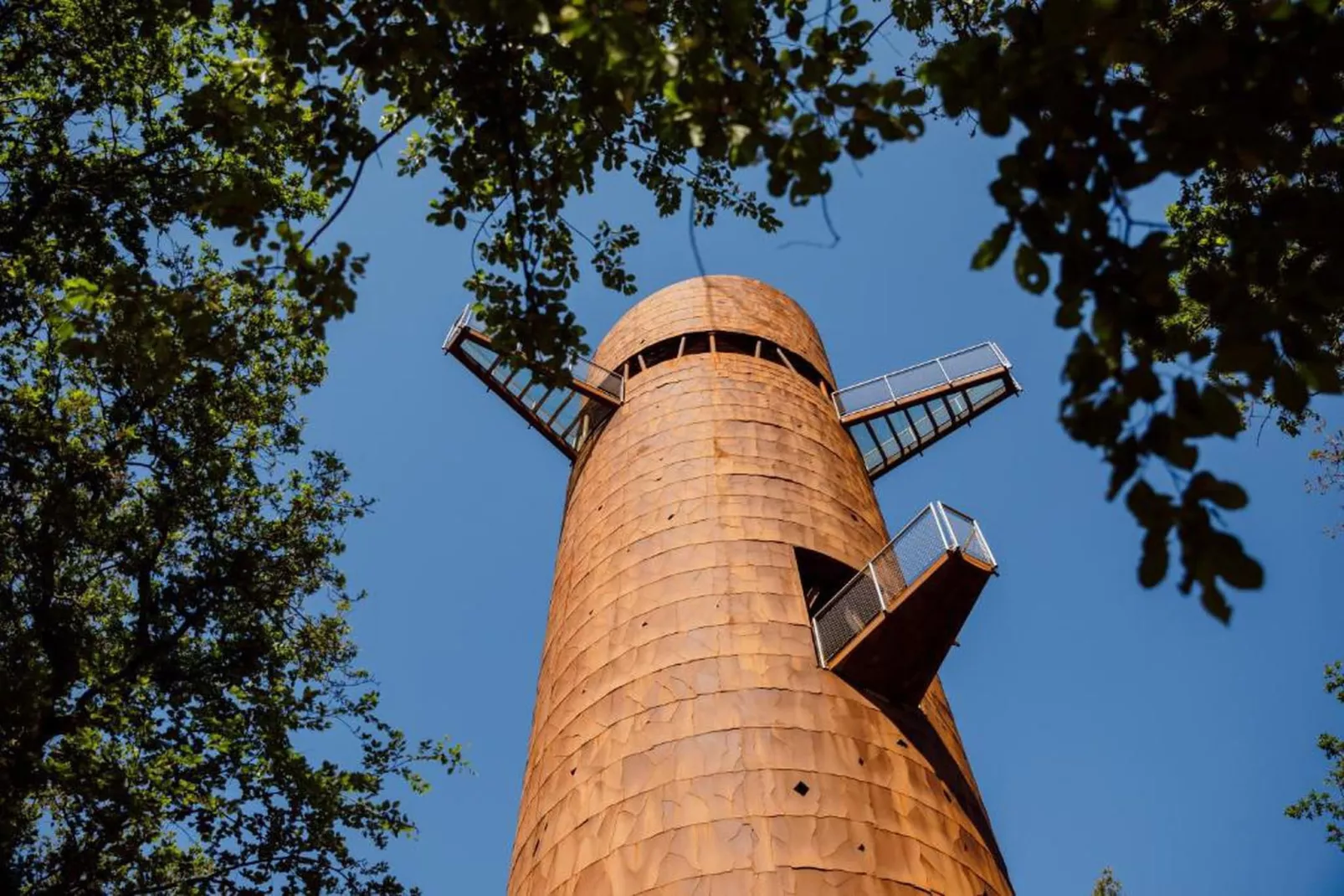 RCN Vakantiepark de Roggeberg 11-Areas within 20km in summer