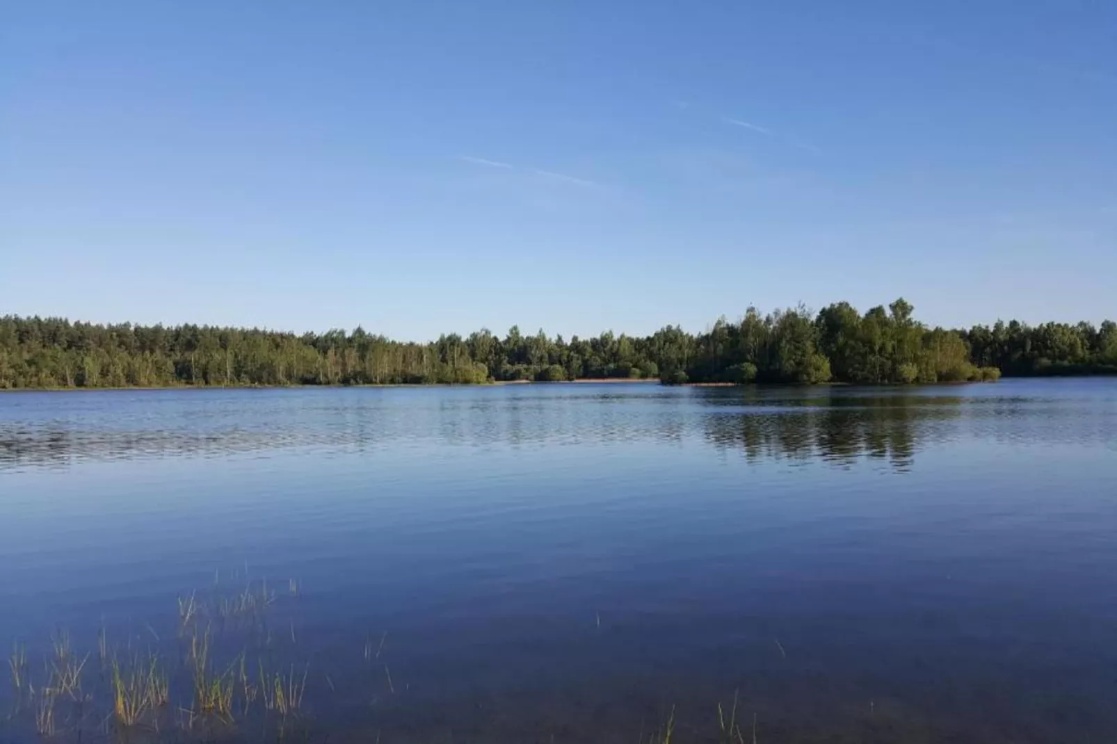 The Forest Cottage-Areas within 20km in summer